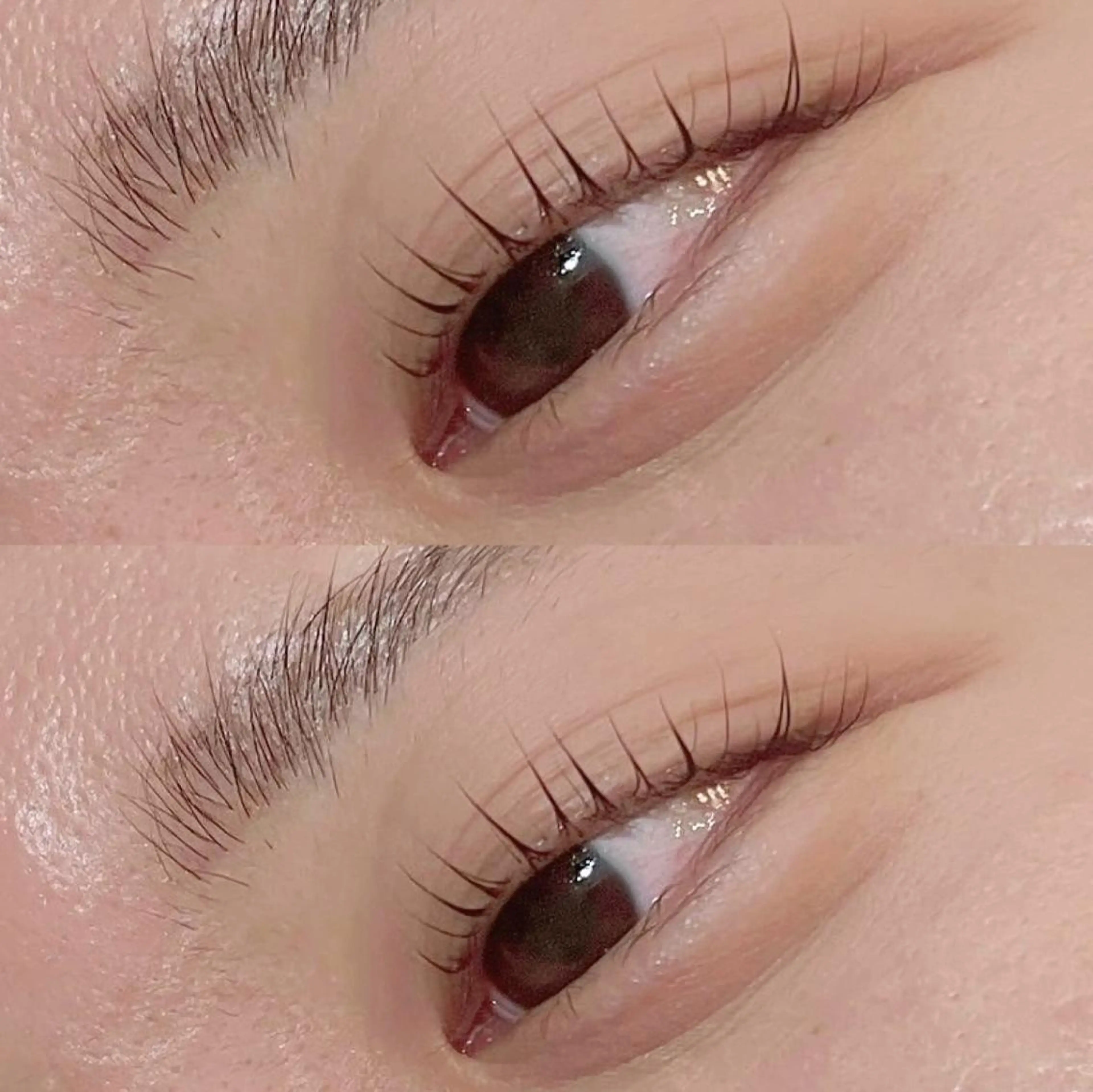 ✨🧡全員クーポン🧡✨🎀パリジェンヌラッシュリフト+高級コーティング付き👀🧸🎀の写真