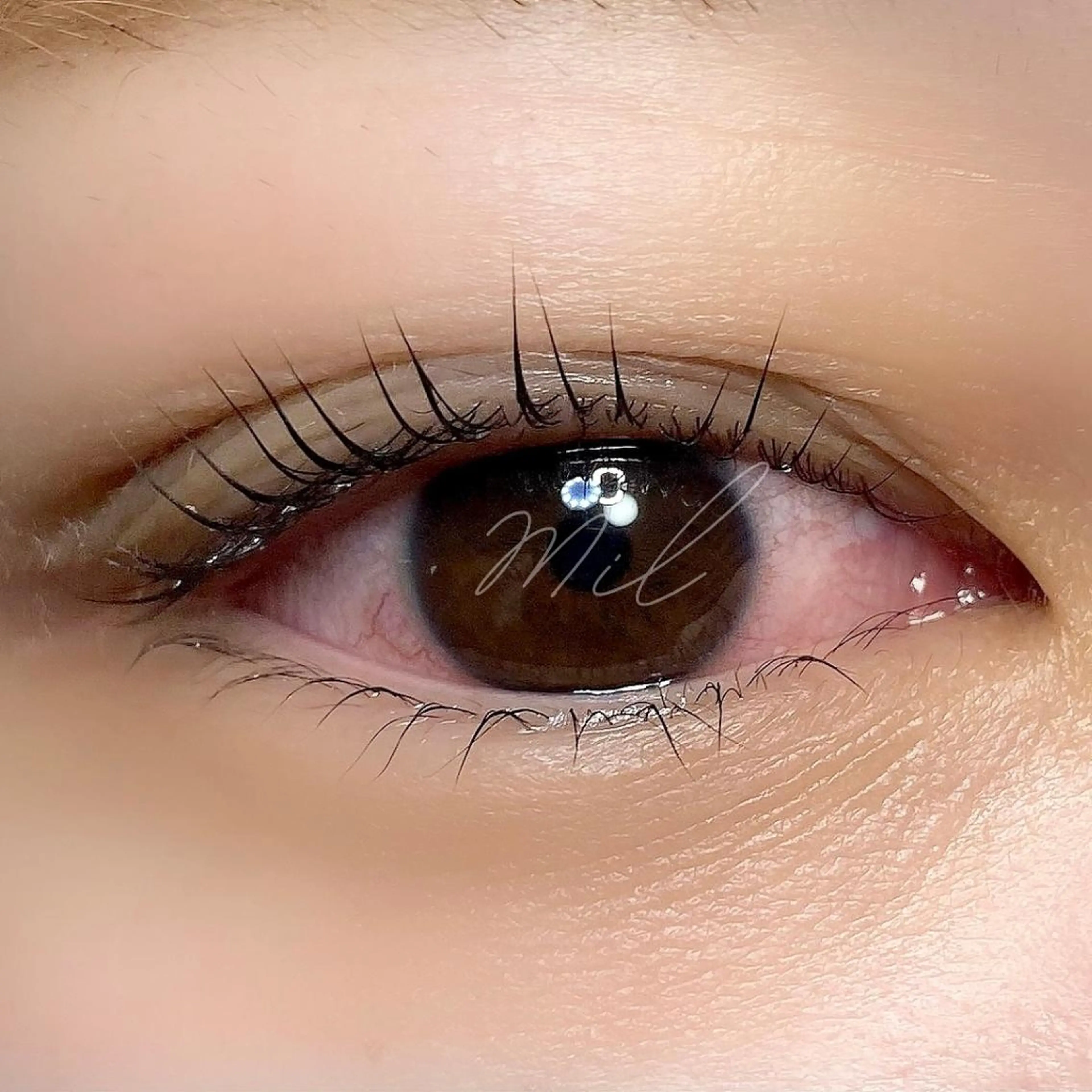 マツエク・マツパ 内藤 由貴のマツエク・マツパデザイン