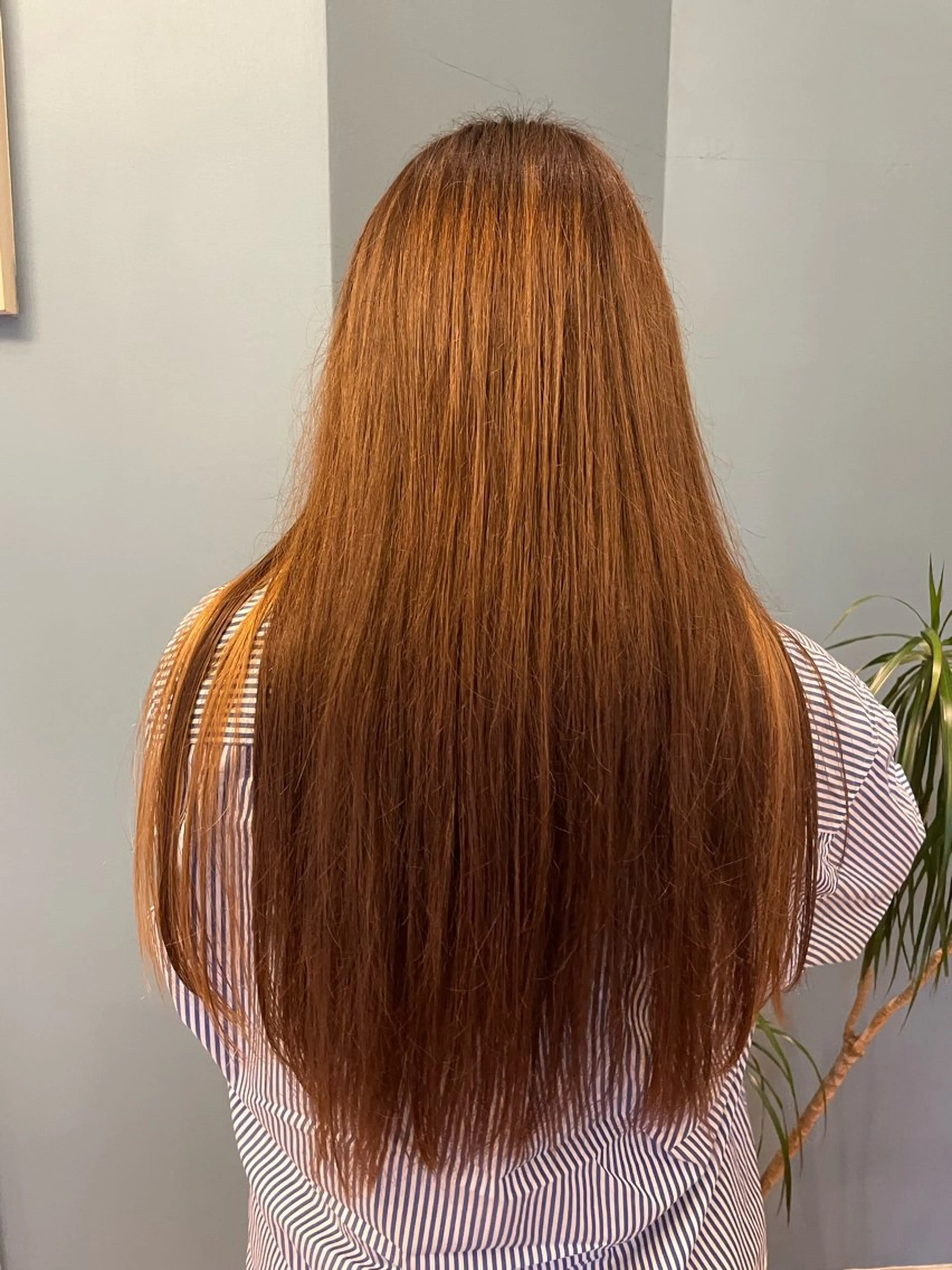 カット+オージュアトリートメント🦖✂️の写真