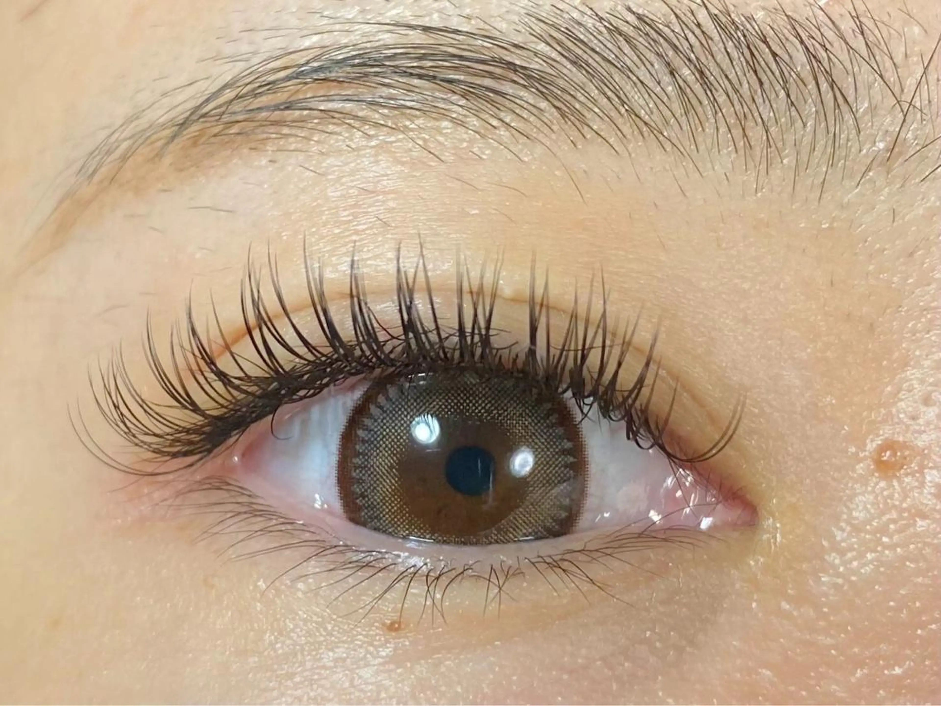 フラットラッシュ 120本（オフ込み）5000円❤️モチの良さ抜群◎ Ｗフラットラッシュに変更同料金❤️の写真