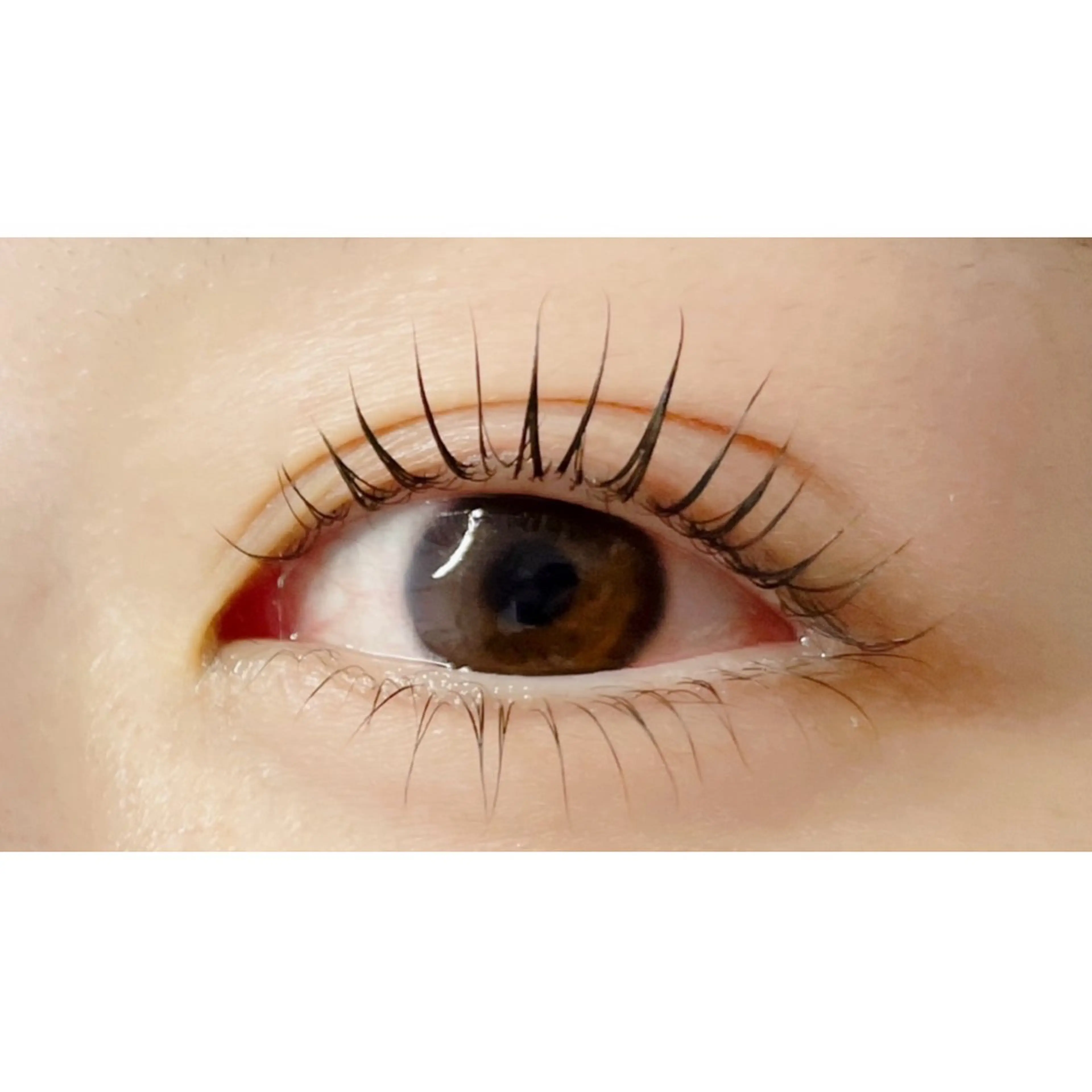 マツエク・マツパ マツパ Lunaria⭐︎ miuのマツエク・マツパデザイン