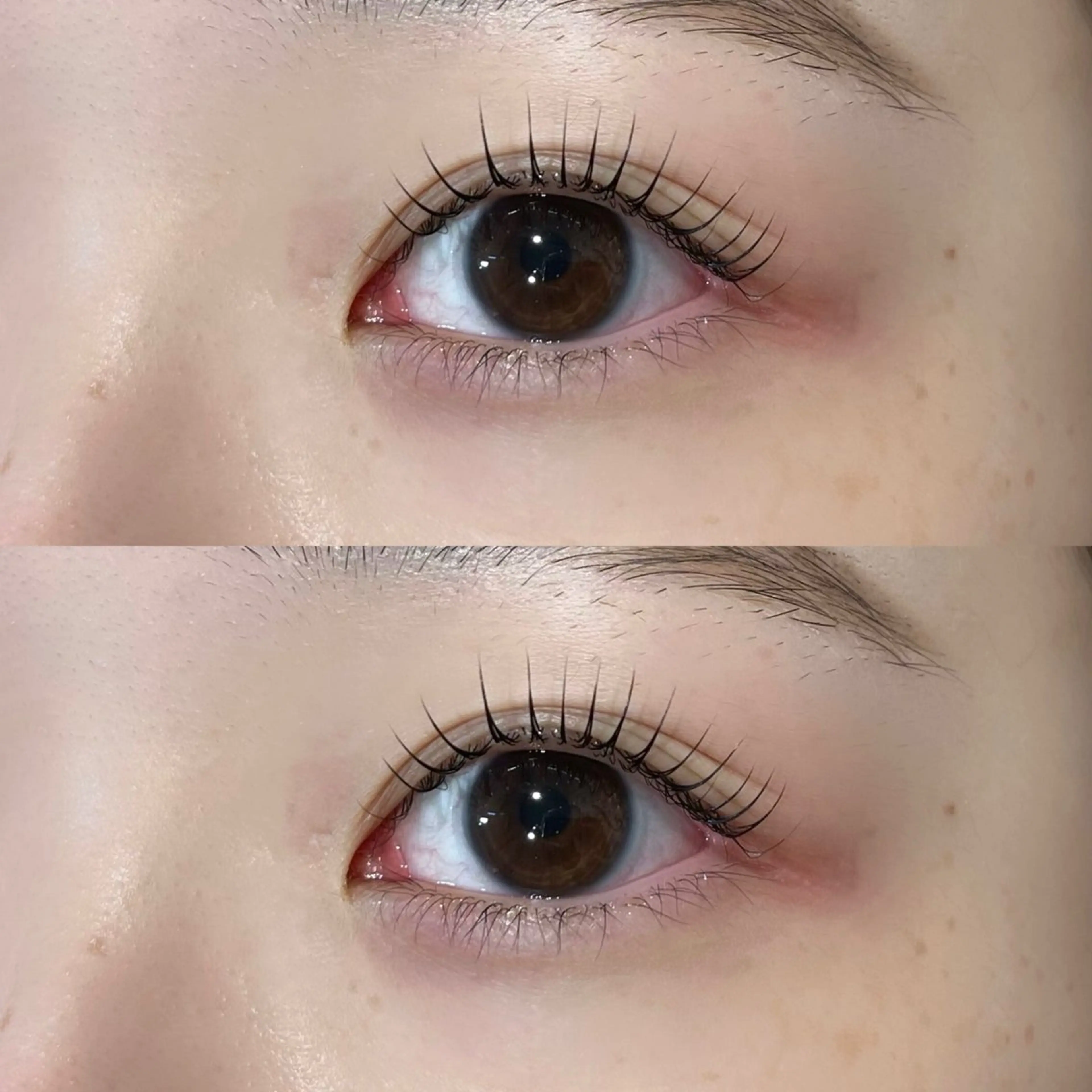 マツエク・マツパ 𝒆𝒊𝒈𝒉𝒕 杏花のマツエク・マツパデザイン