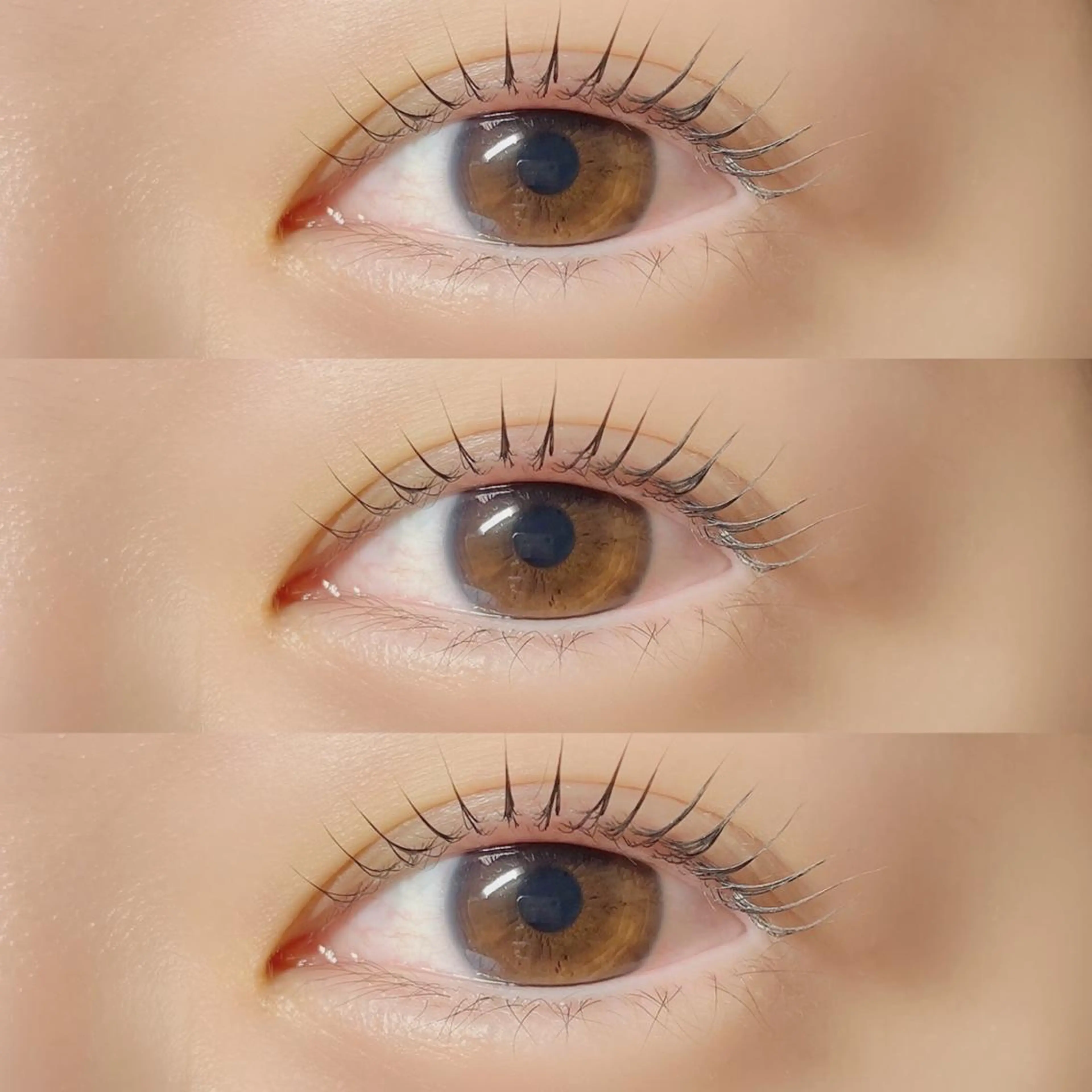 パリジェンヌ::　ご新規様¥6000/リピーター様¥6500の写真