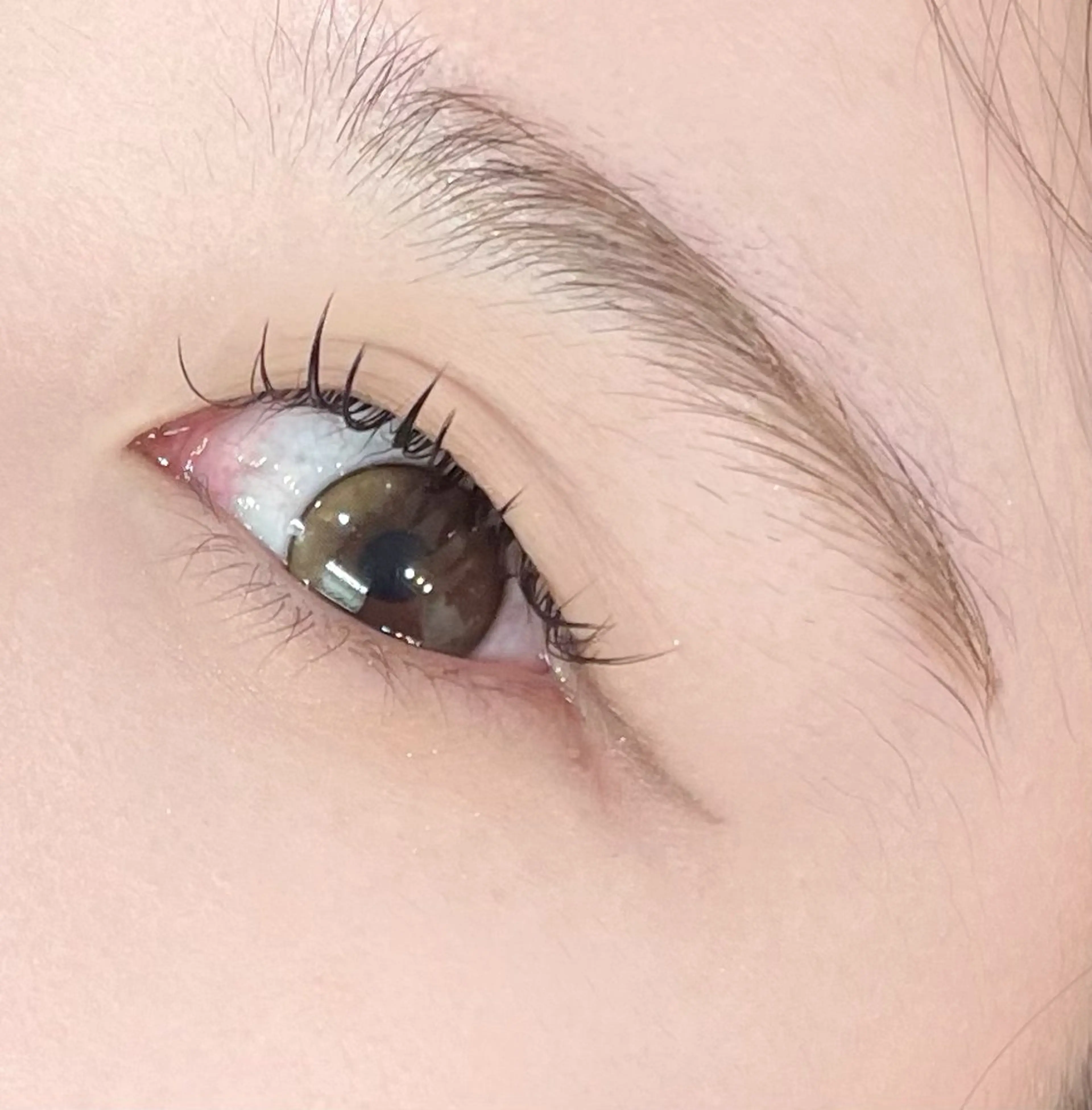 マツエク・マツパ 👑EYELA 柏／ 川村👑の眉毛・アイブロウイメージ