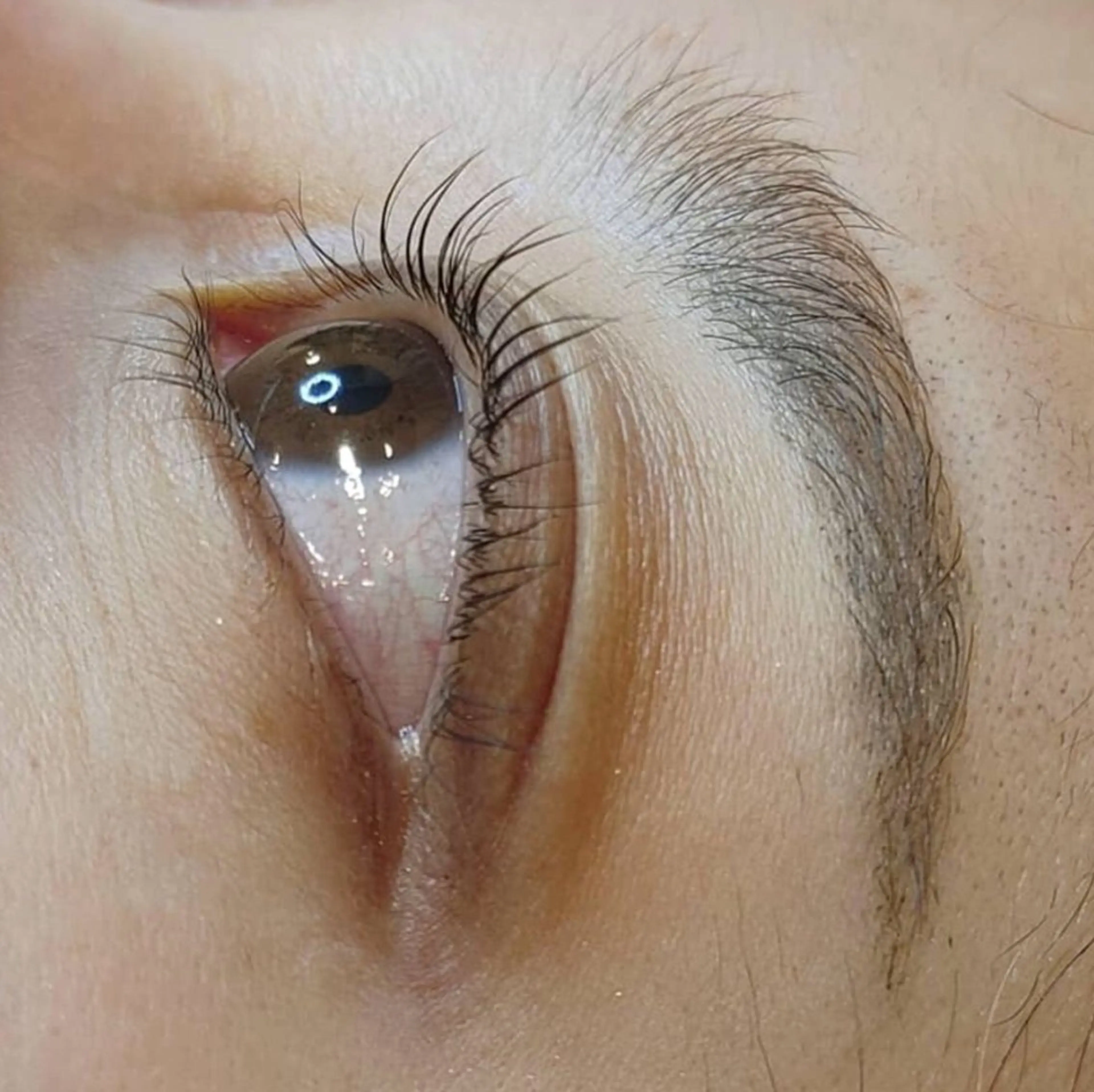 マツエク・マツパ パリジェンヌラッシュリフト ブランシェ勝川南口店 石原 あゆみのマツエク・マツパデザイン