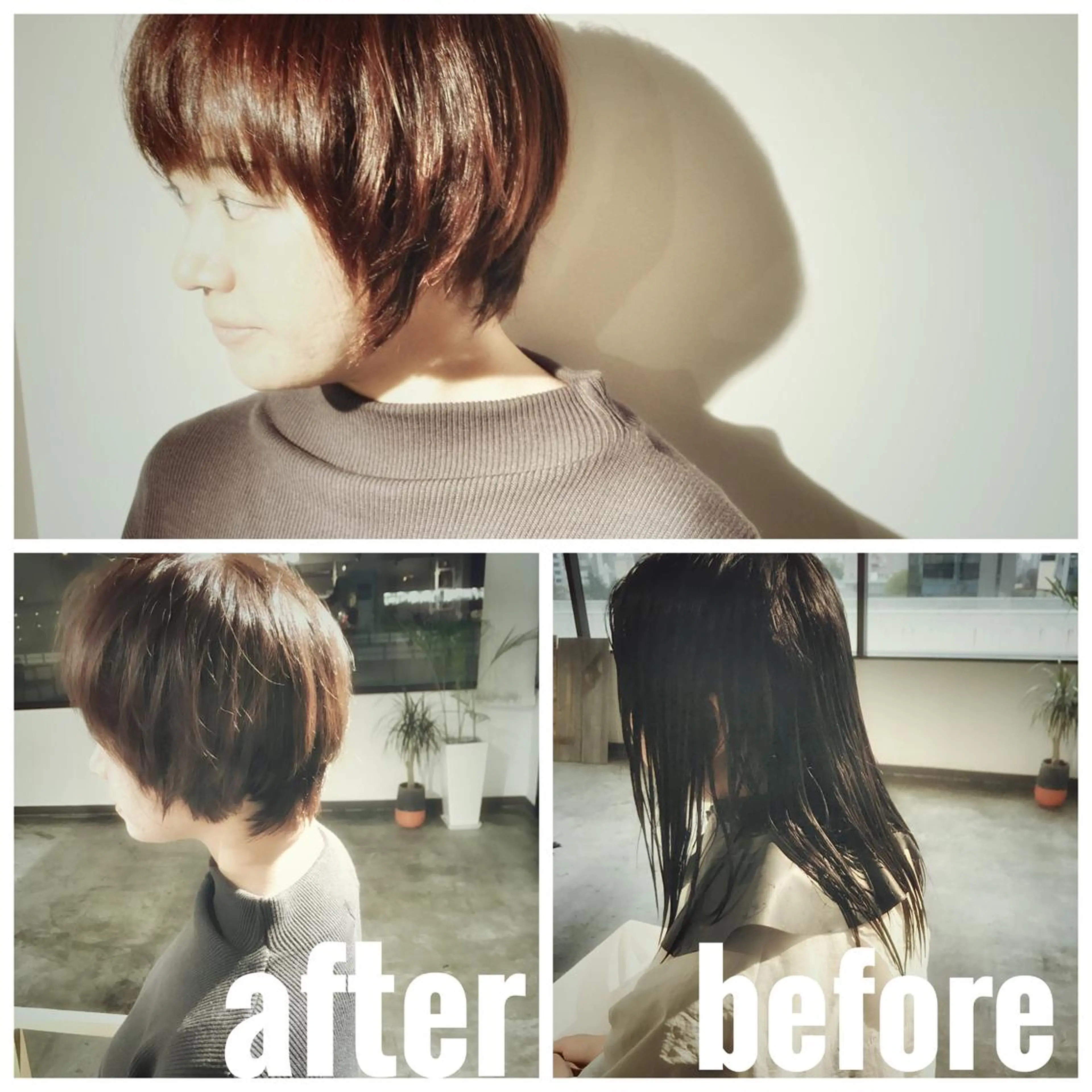 ショート カラー ブラウンカラー ショートヘア 小顔カット BOB🌟ハイトーン /ブリーチ/TAKUのヘアスタイル