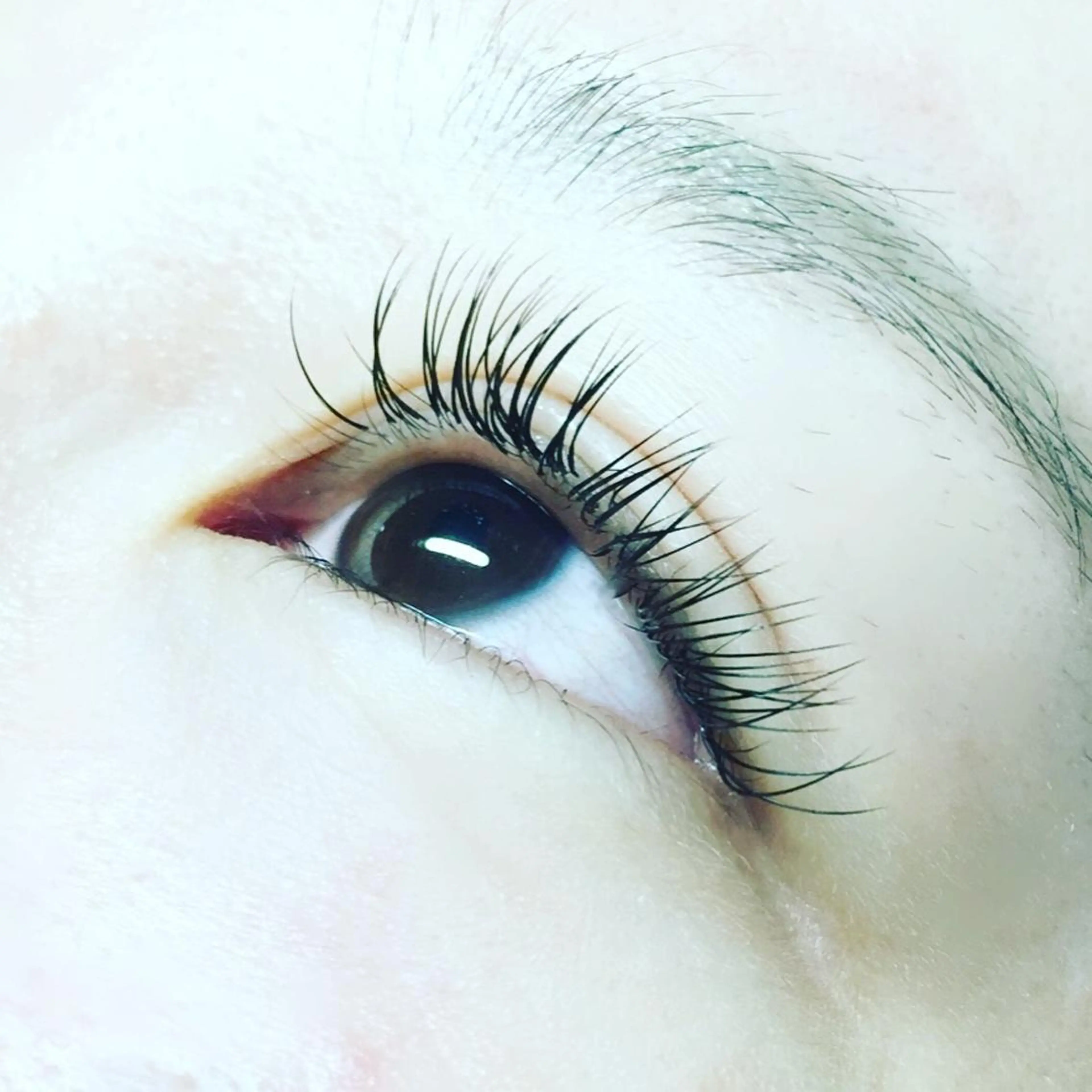 マツエク・マツパ 付け放題 セーブル シルク Eyelash.a bellezzaのマツエク・マツパデザイン