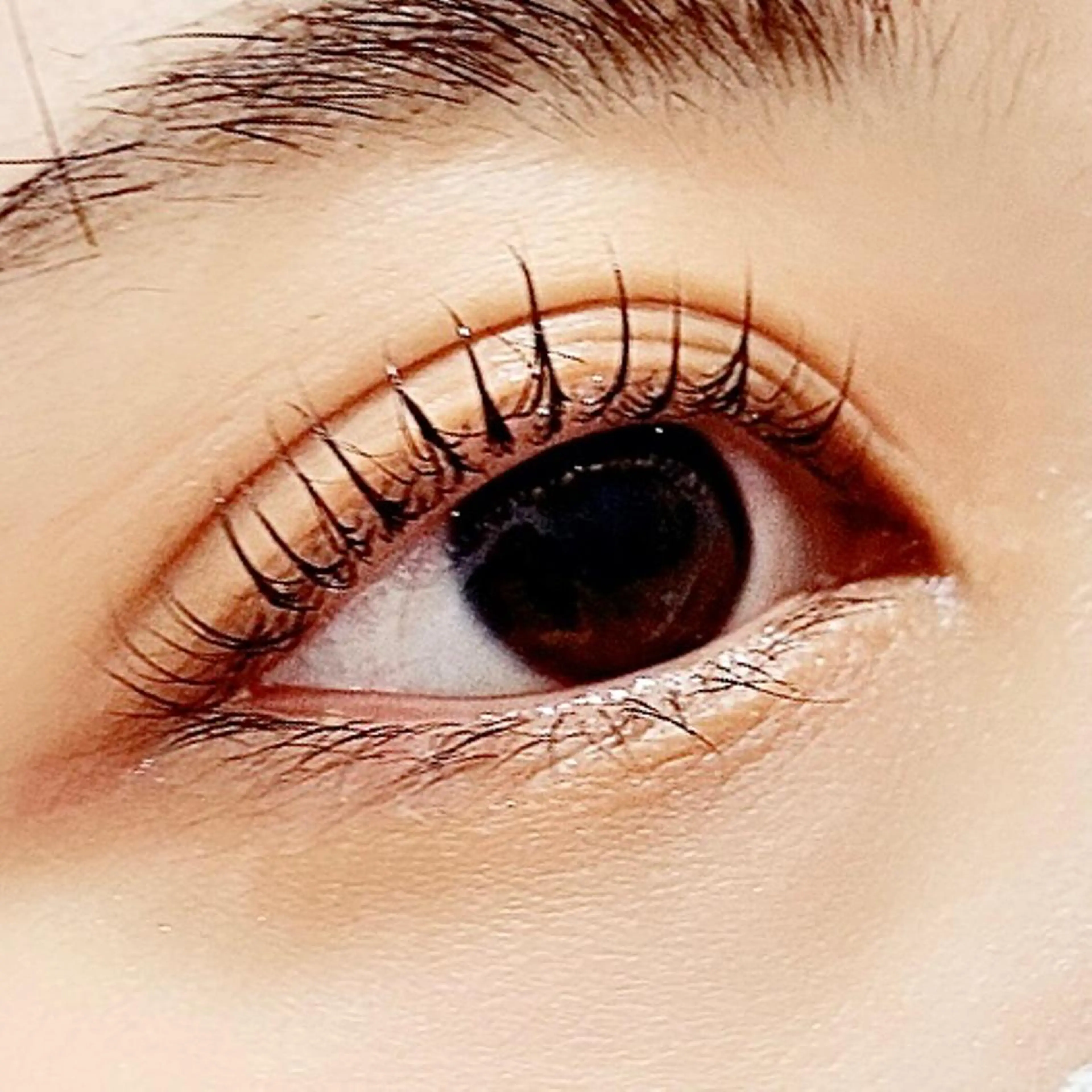 マツエク・マツパ 一重×まつ毛パーマ ✧elpatio✧︎ 小出紗羅のマツエク・マツパデザイン