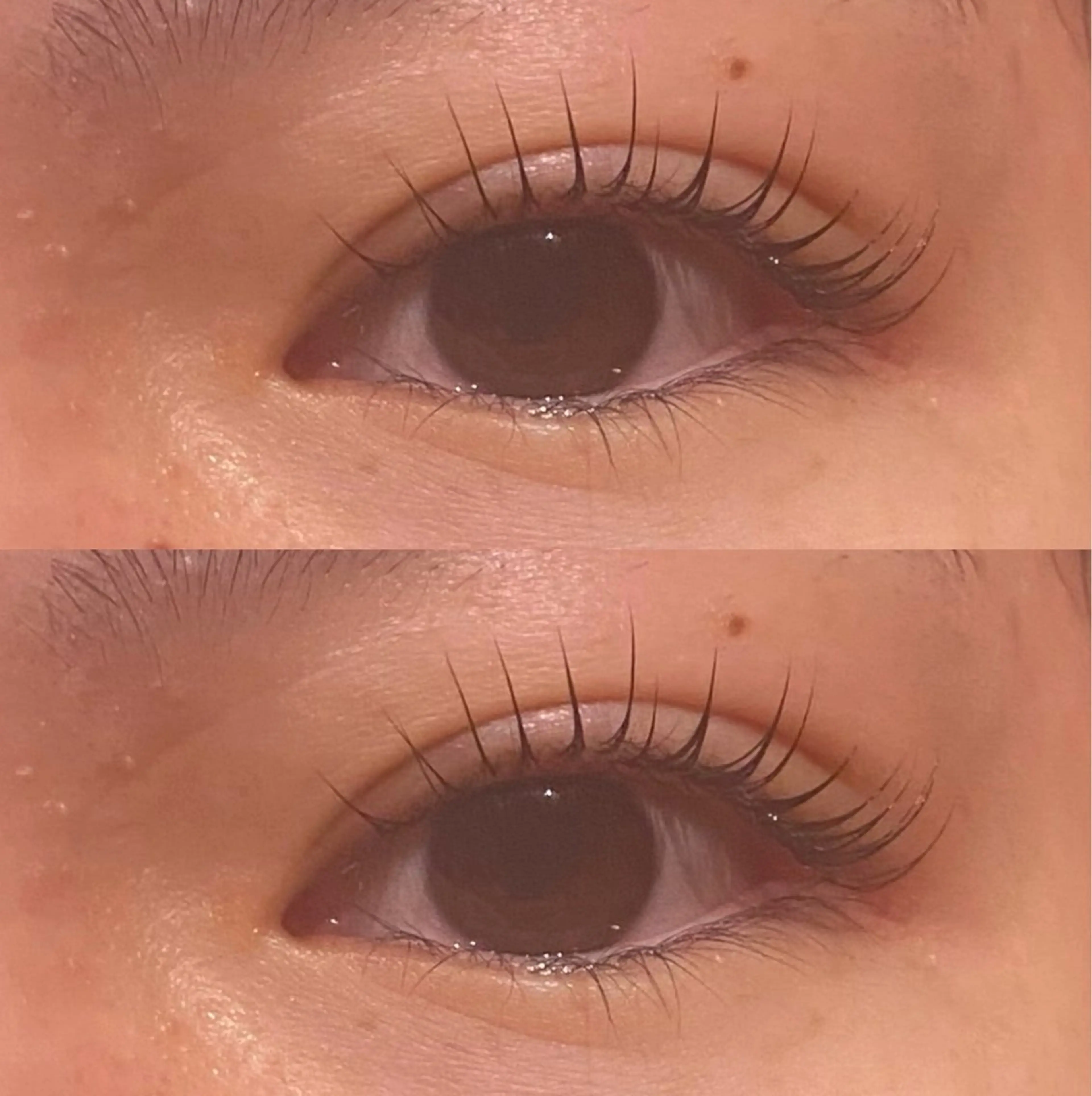 マツエク・マツパ マツパ 艶カラー 藤澤さくらのマツエク・マツパデザイン