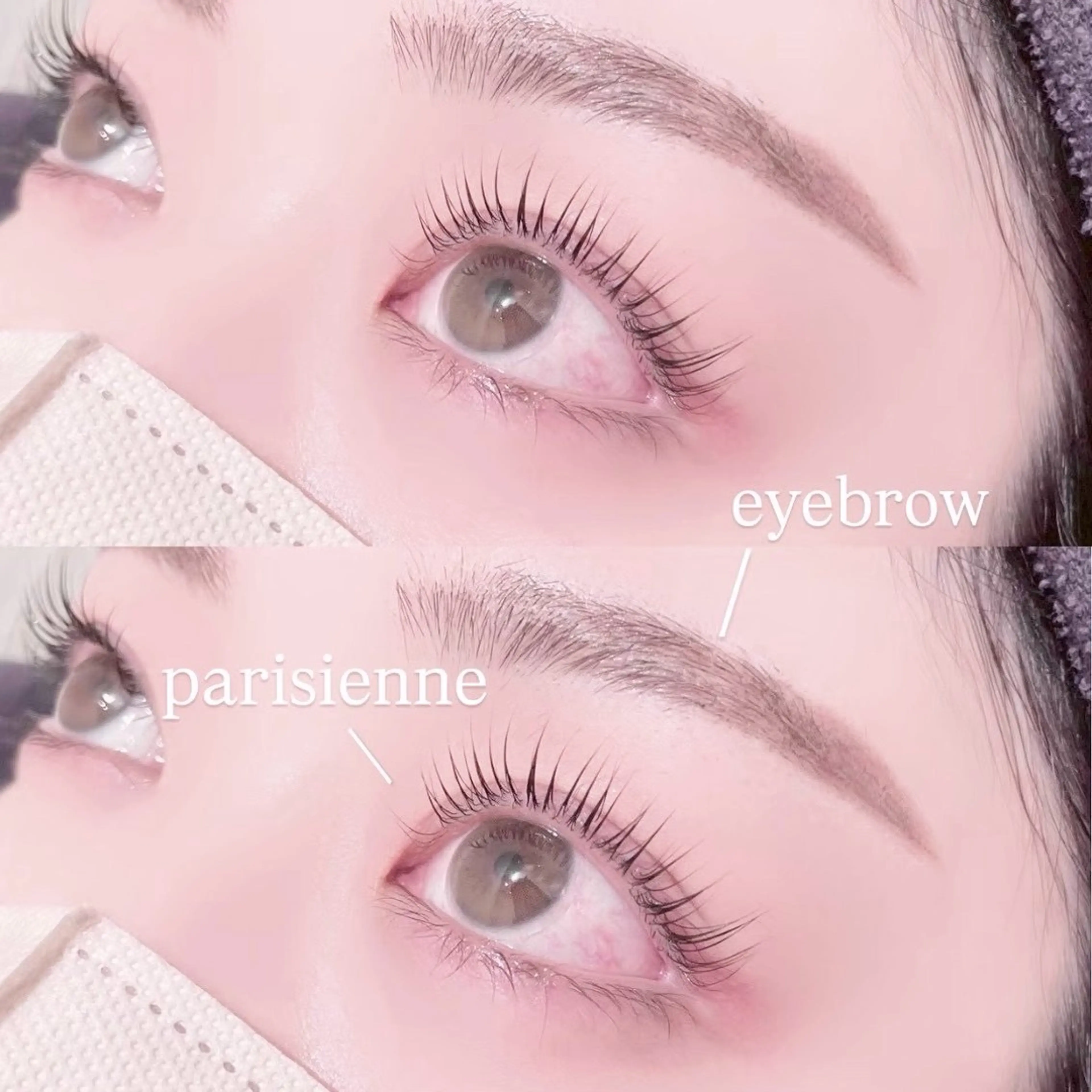 ãð人æ°No.1ðãããªãžã§ã³ãïŒã¢ã€ãããŠWaxã®åç