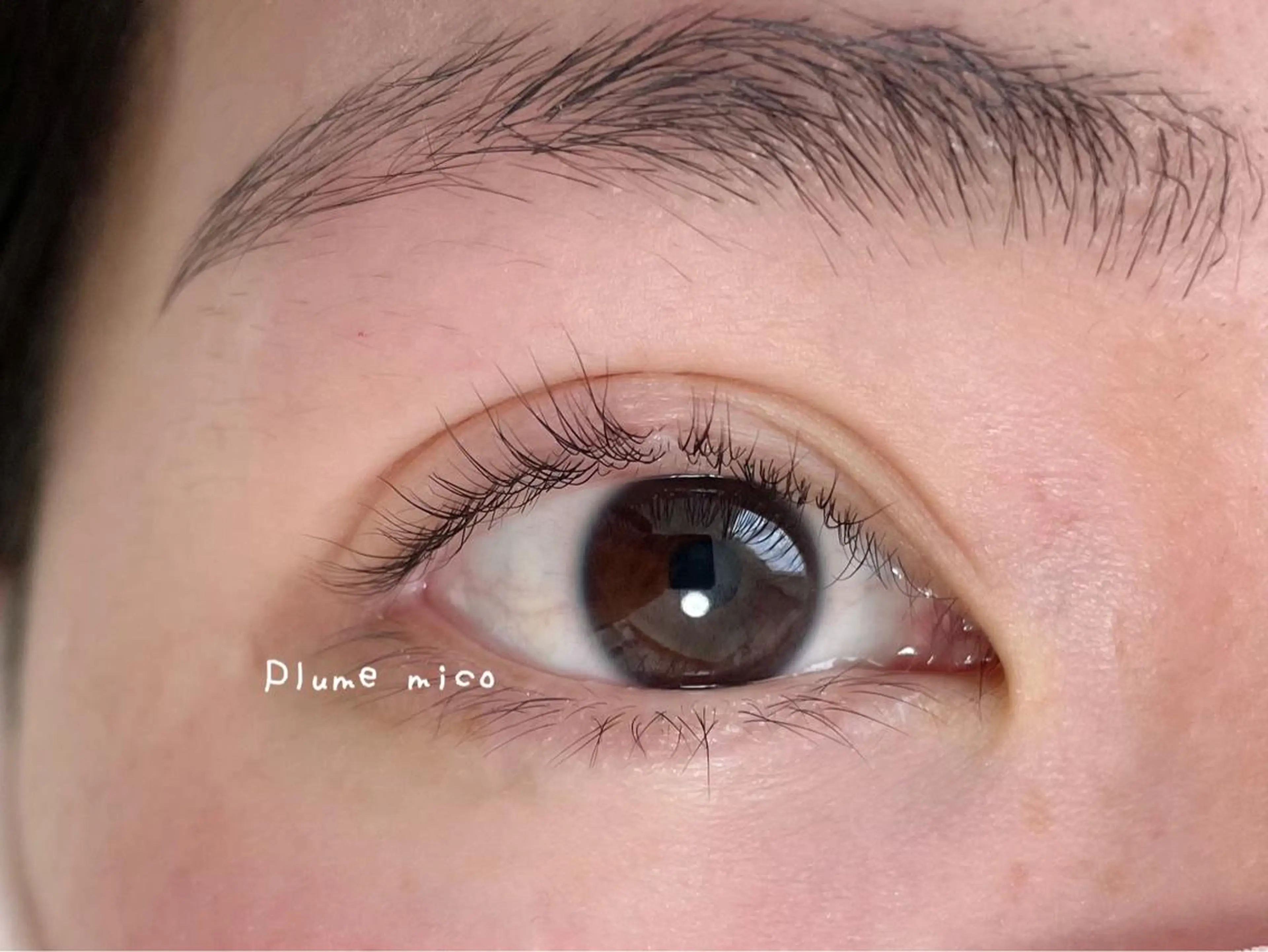 マツエク・マツパ マツパ Plume micoのマツエク・マツパデザイン