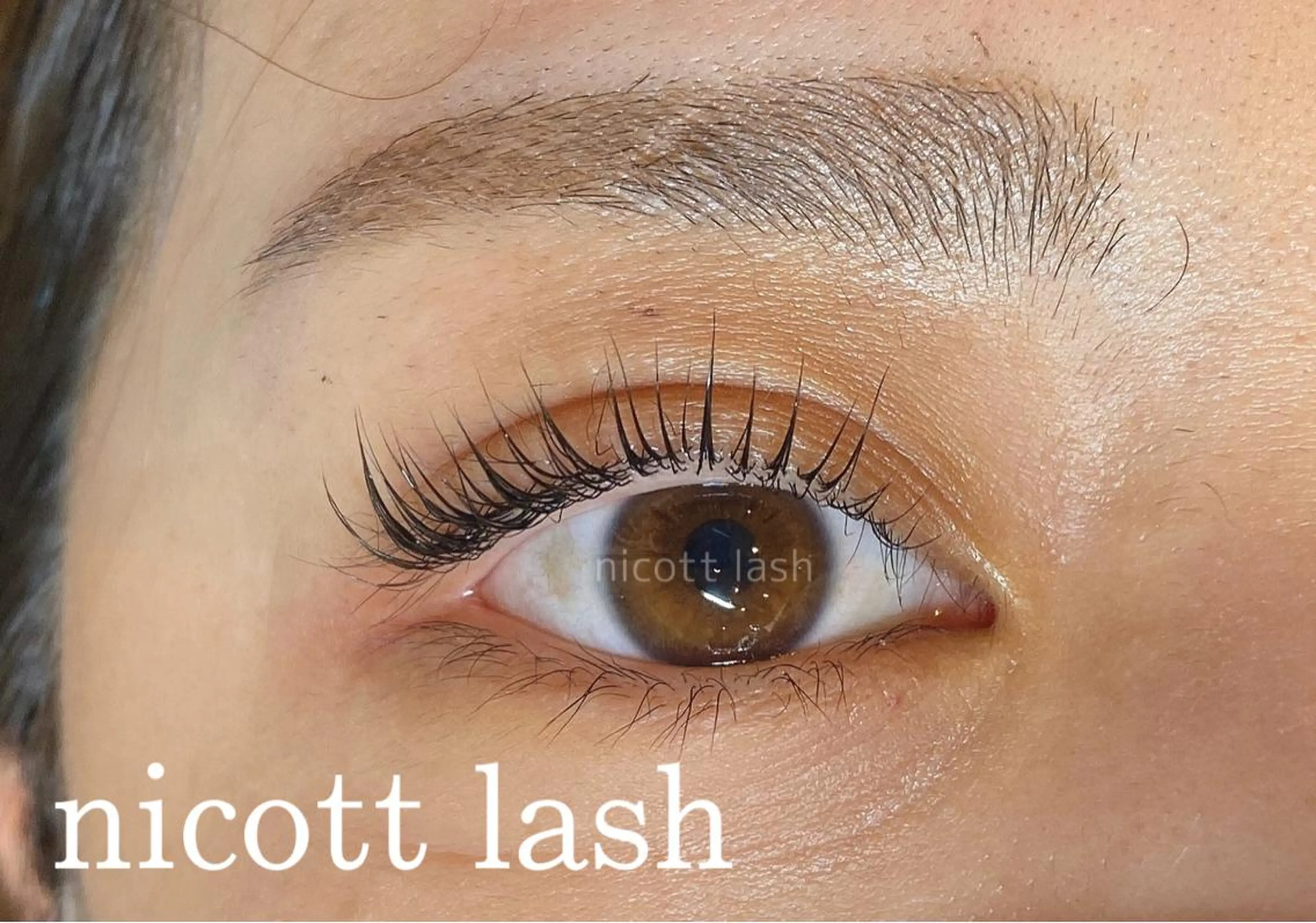 マツエク・マツパ パリジェンヌラッシュリフト nicottlash 天王寺店のマツエク・マツパデザイン