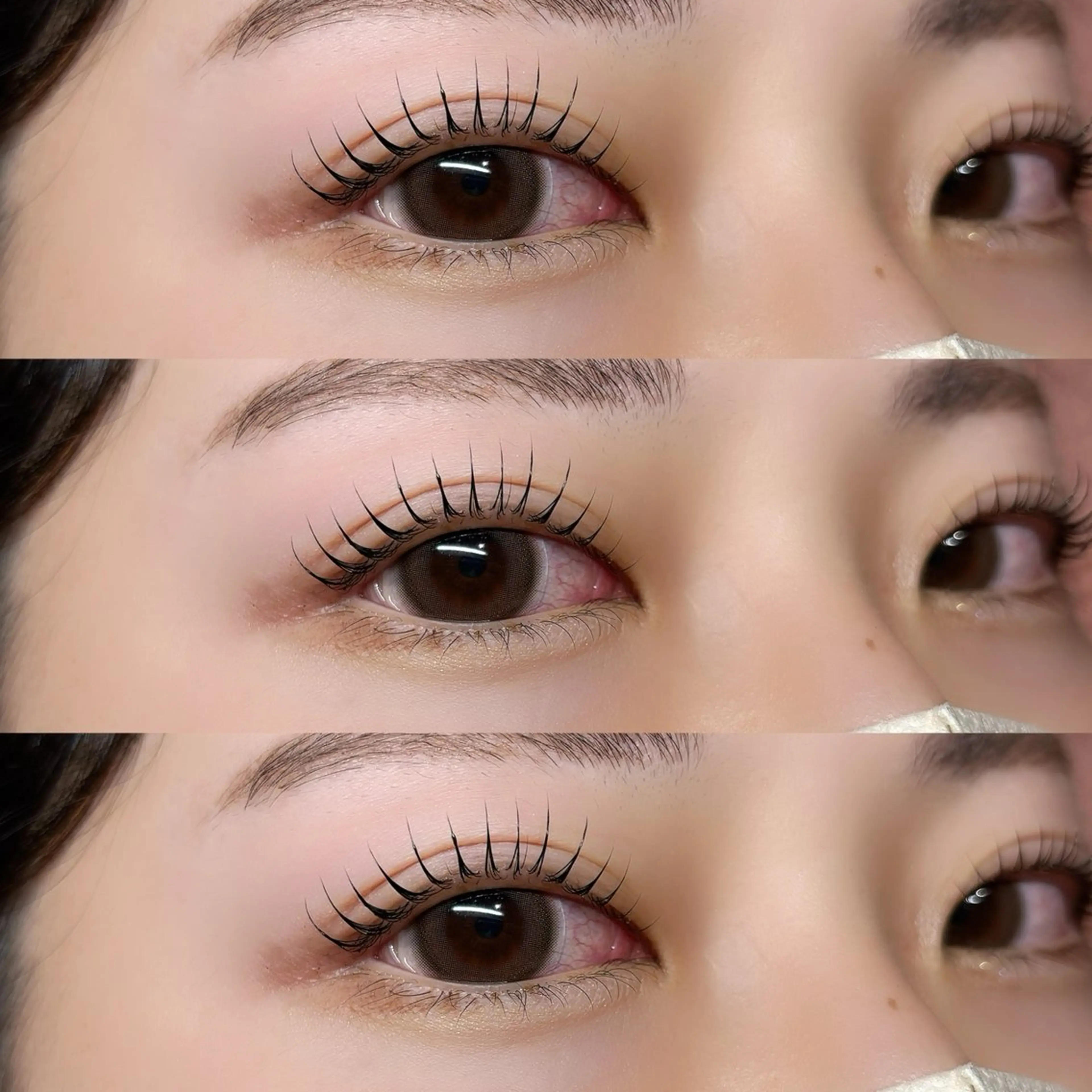 🎈限定クーポン🎈アイラッシュメニュー 30％offの写真