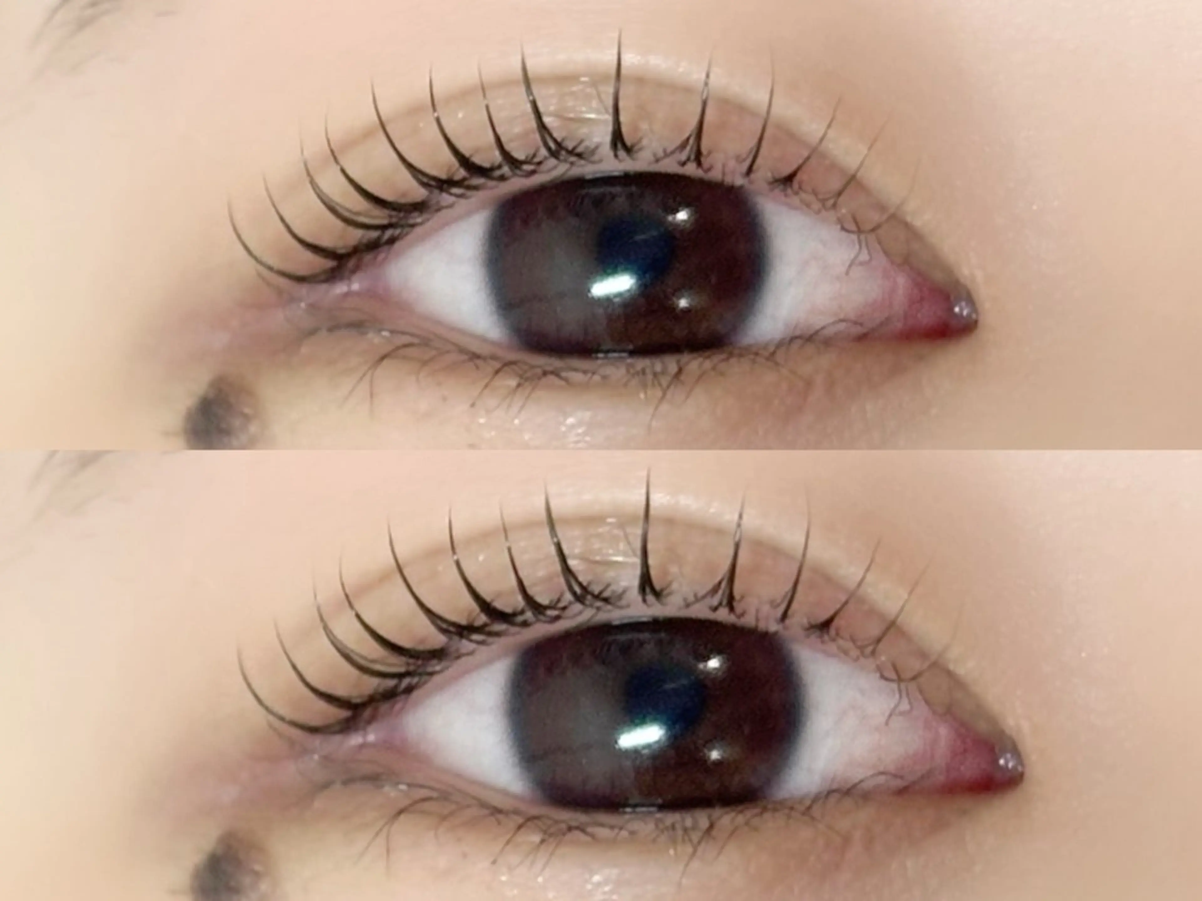 パーマ マツパ メンズ特化 👦🏻✨memeの眉毛・アイブロウイメージ