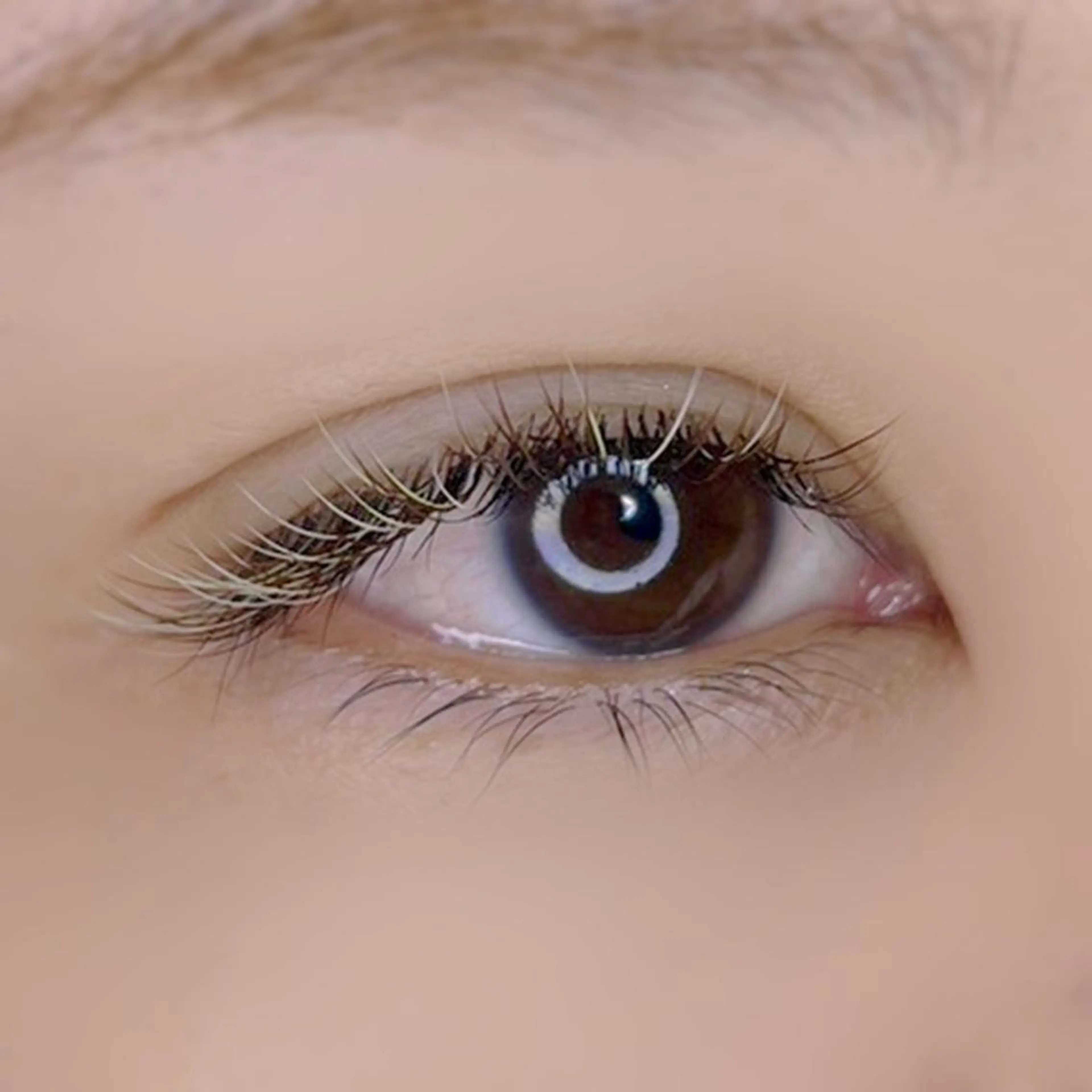 マツエク・マツパ 平山 ゆりのマツエク・マツパデザイン