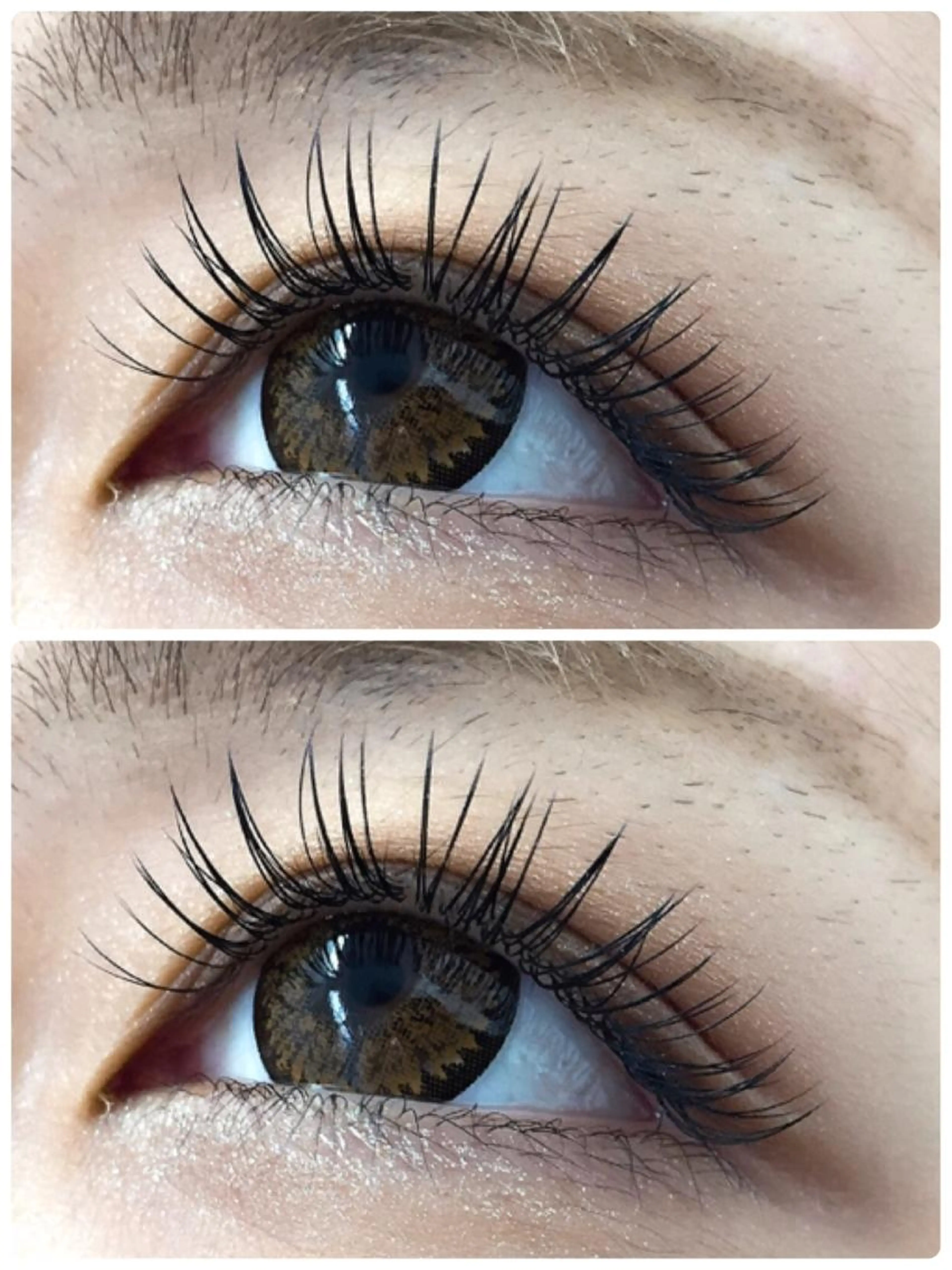 【80本・オフ有⭕️】フラットラッシュの写真