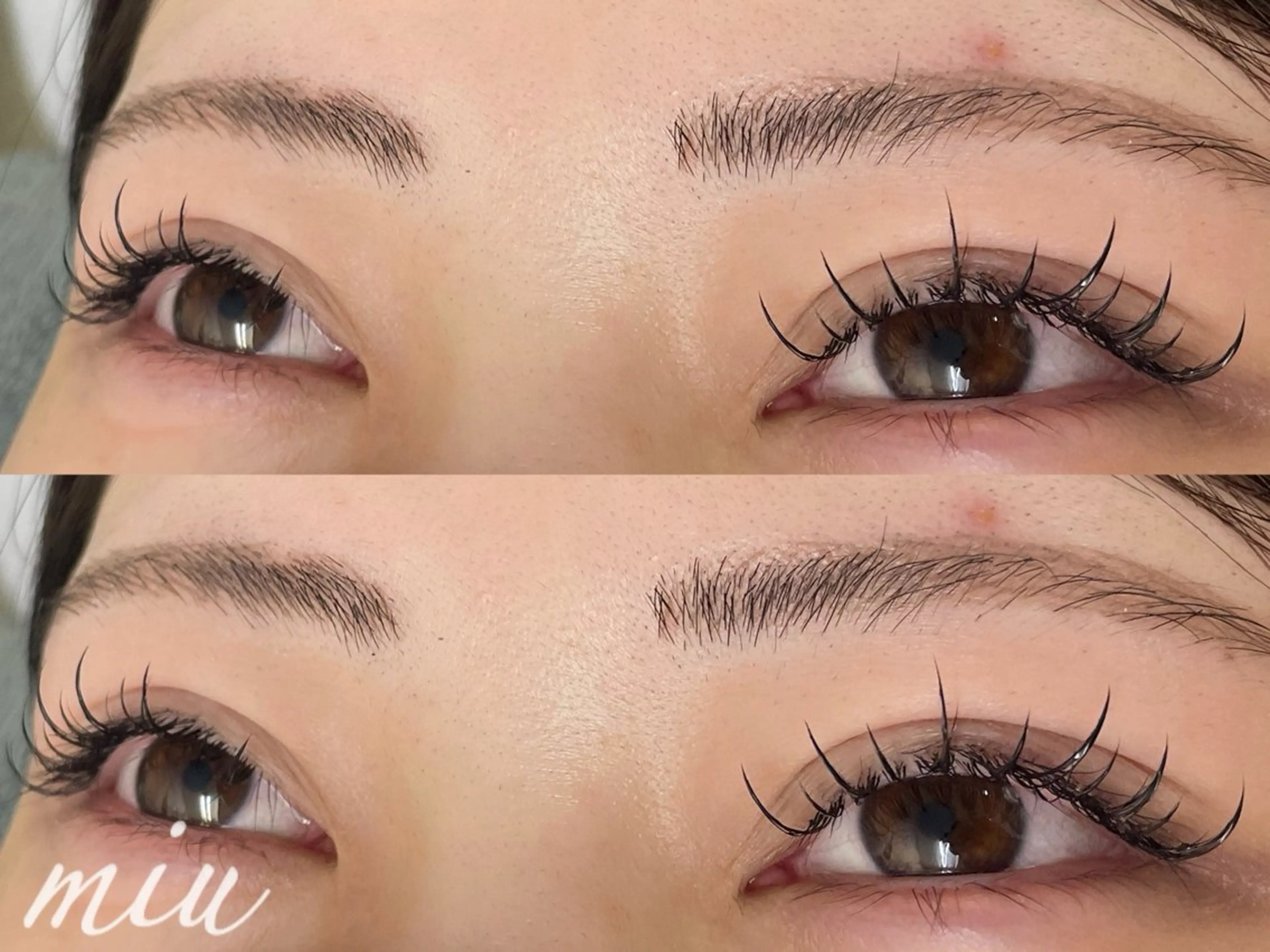 マツエク・マツパ CCカール Cカール 韓国風マツエク ワンホンマツエク miunail Minamiのマツエク・マツパデザイン