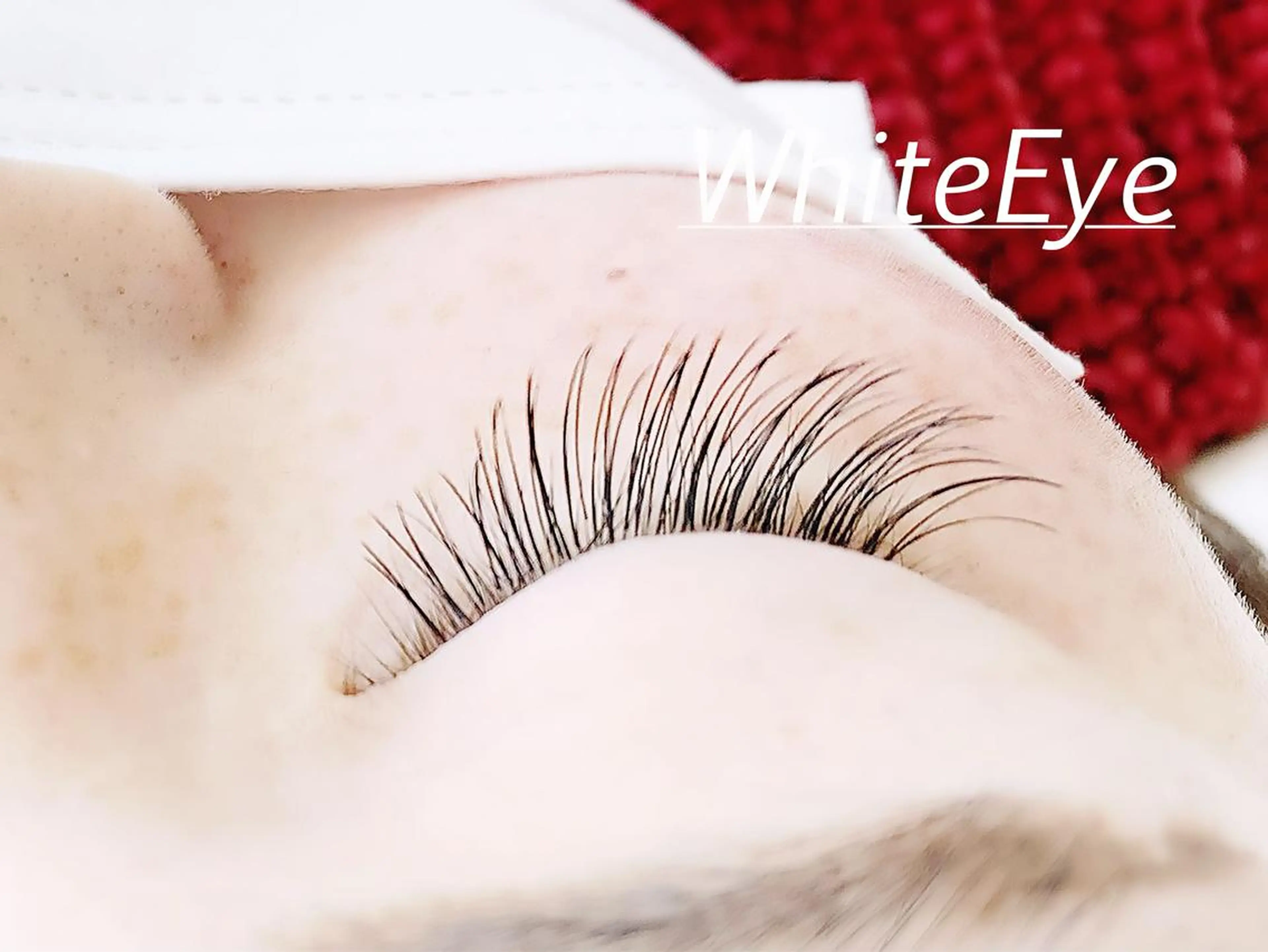 マツエク・マツパ ホワイトアイ HIKARUの眉毛・アイブロウイメージ