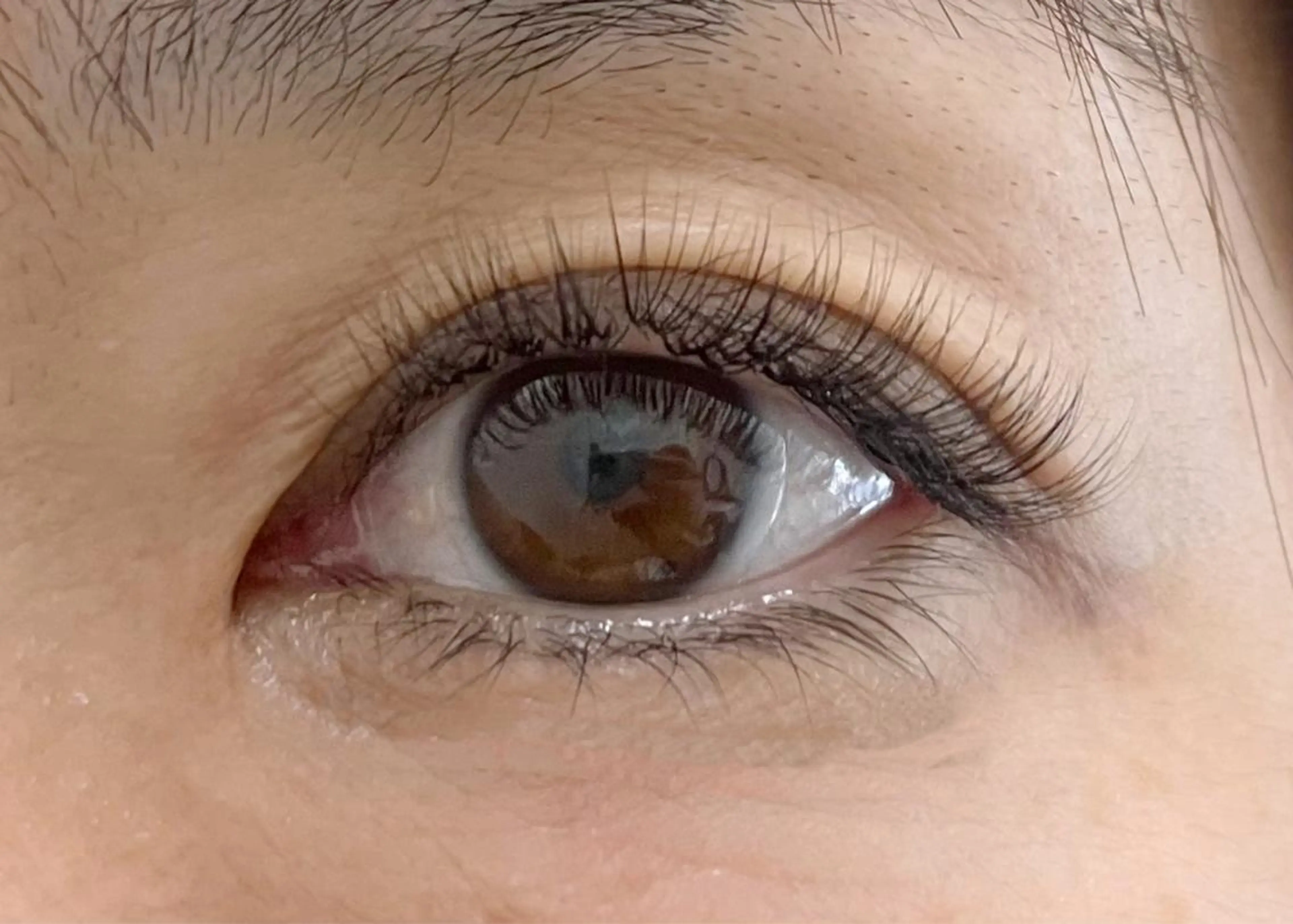 マツエク・マツパ ボリュームラッシュ Rich to🤍 furutaのマツエク・マツパデザイン