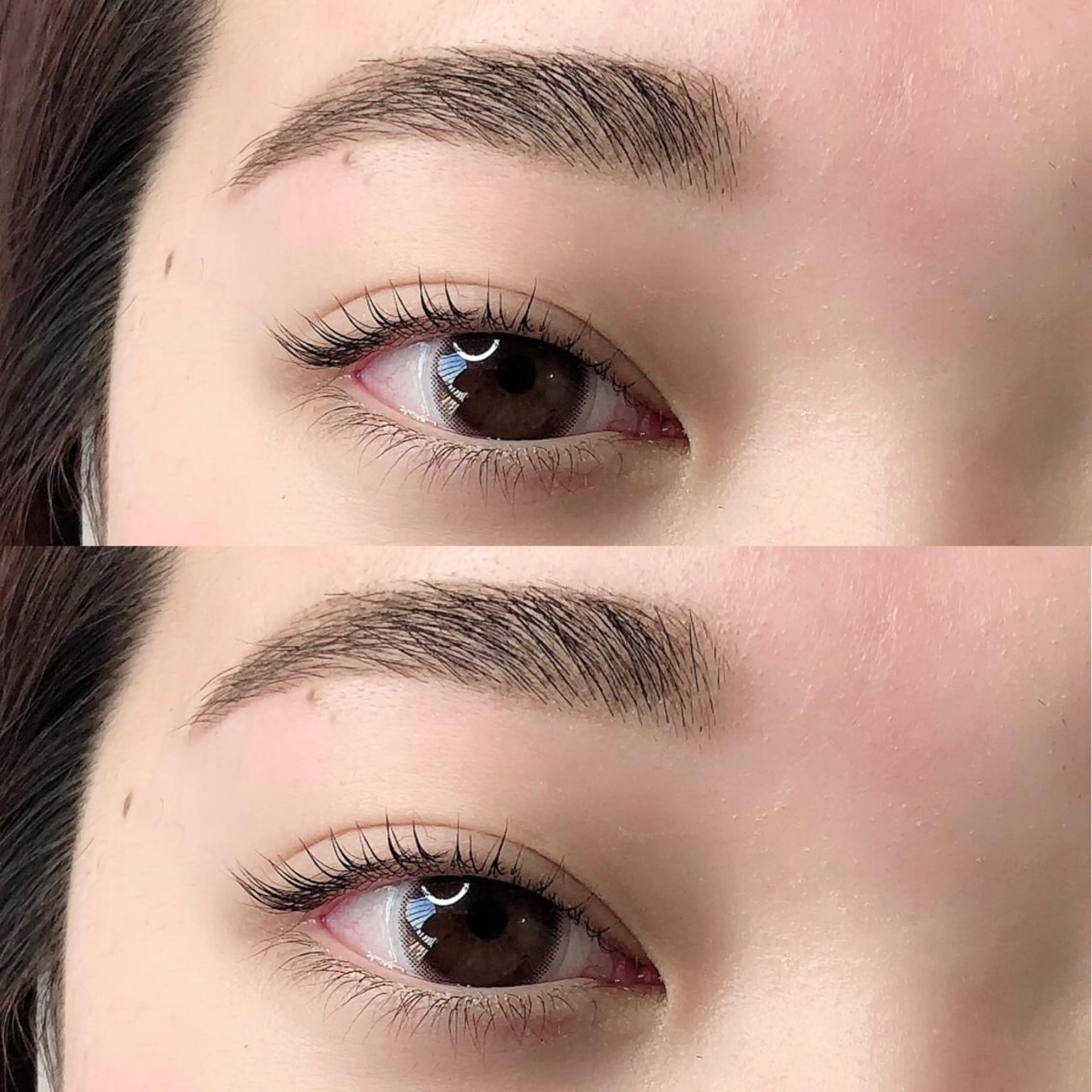 🎀限定まつ毛パーマ➕アイブローワックス🎀の写真