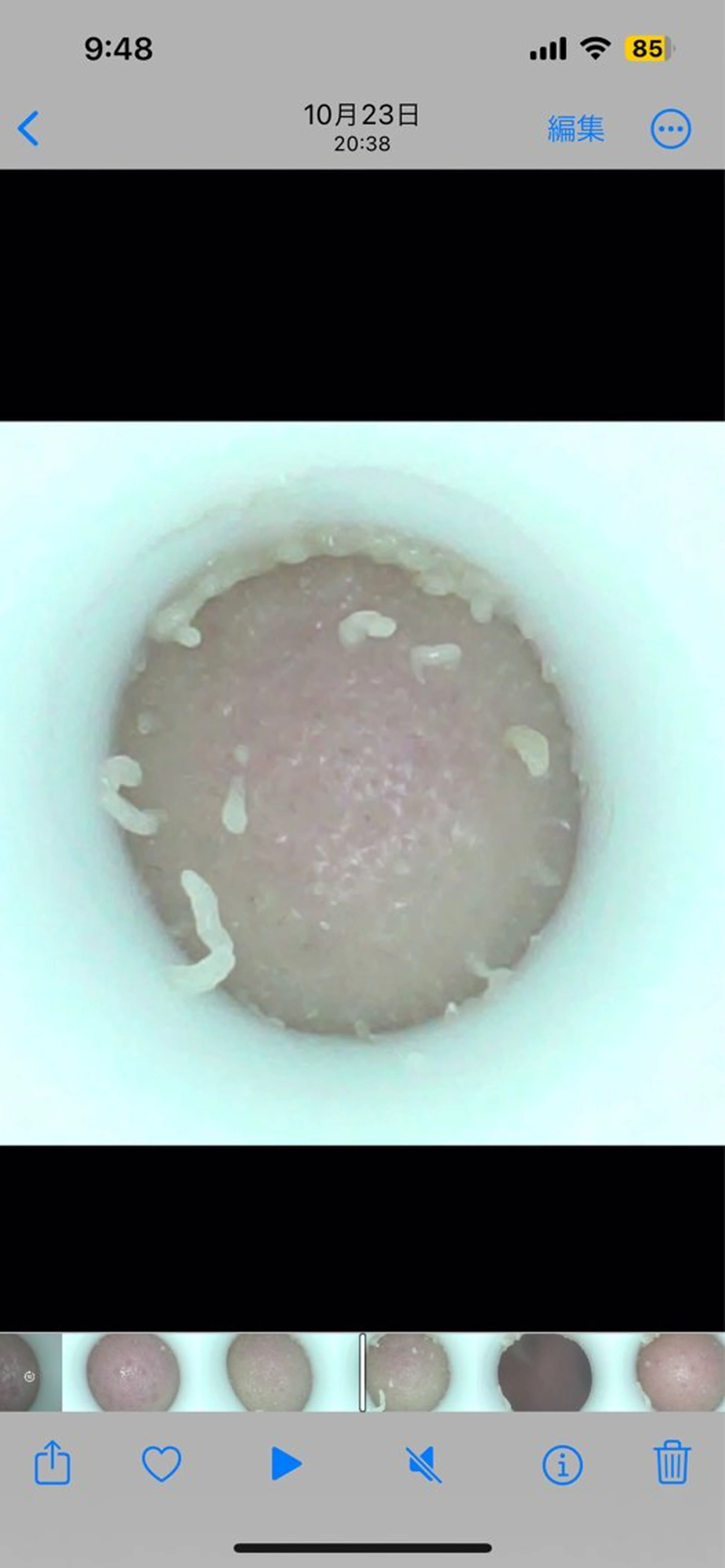 エステ リラク 《美肌･小顔》美容鍼 ＆マッサージ＊MEIのエステ・リラクイメージ