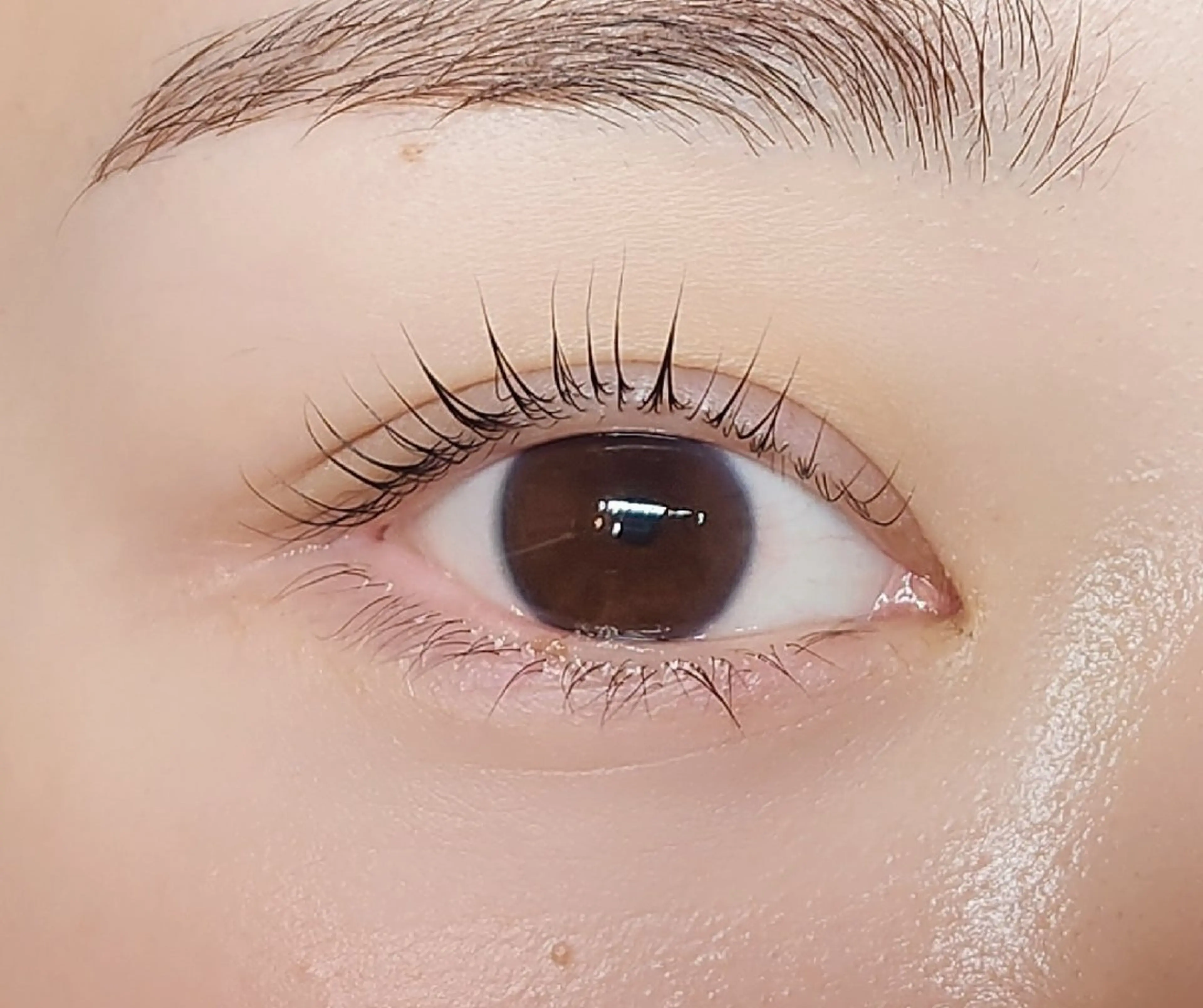 マツエク・マツパ まつげパーマ マツパ 個室サロンcopel 　kishimotoのマツエク・マツパデザイン