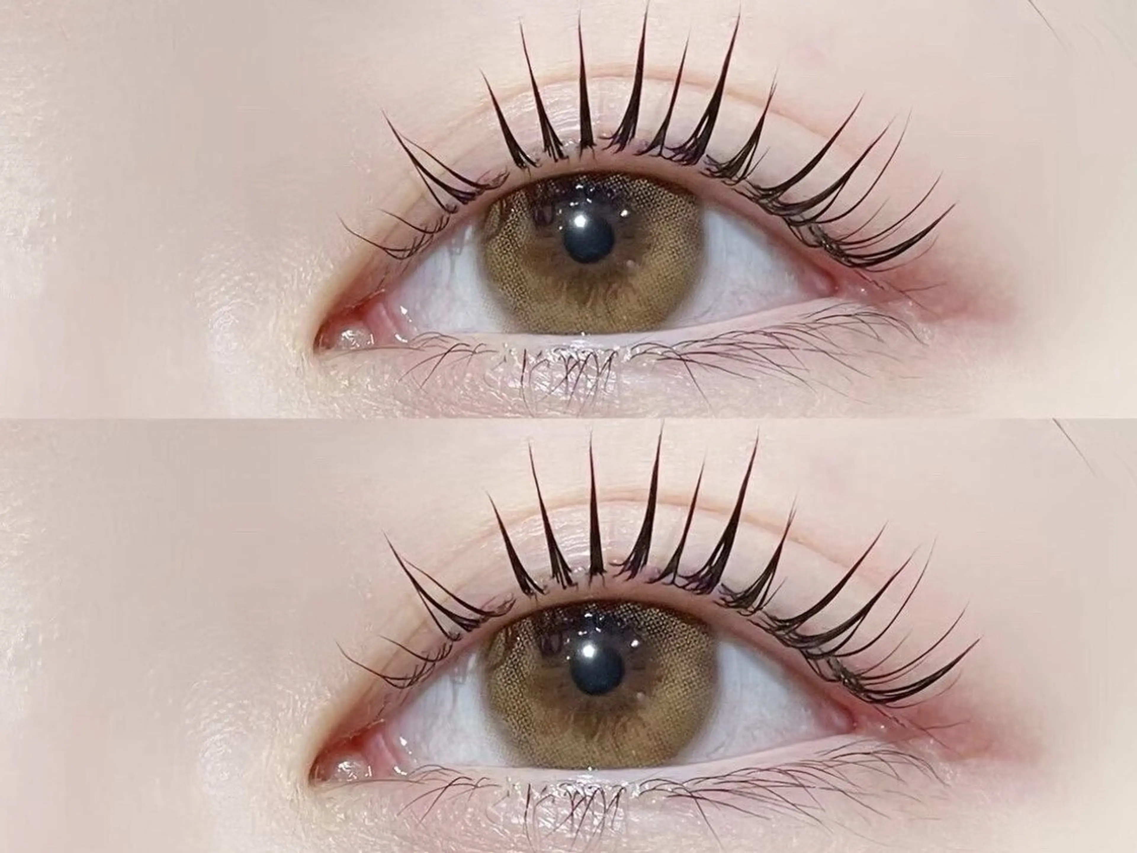 マツエク・マツパ 束感まつ毛 Cカール キュート フラットラッシュ 韓国風マツエク ☆ まほろ☆のその他イメージ