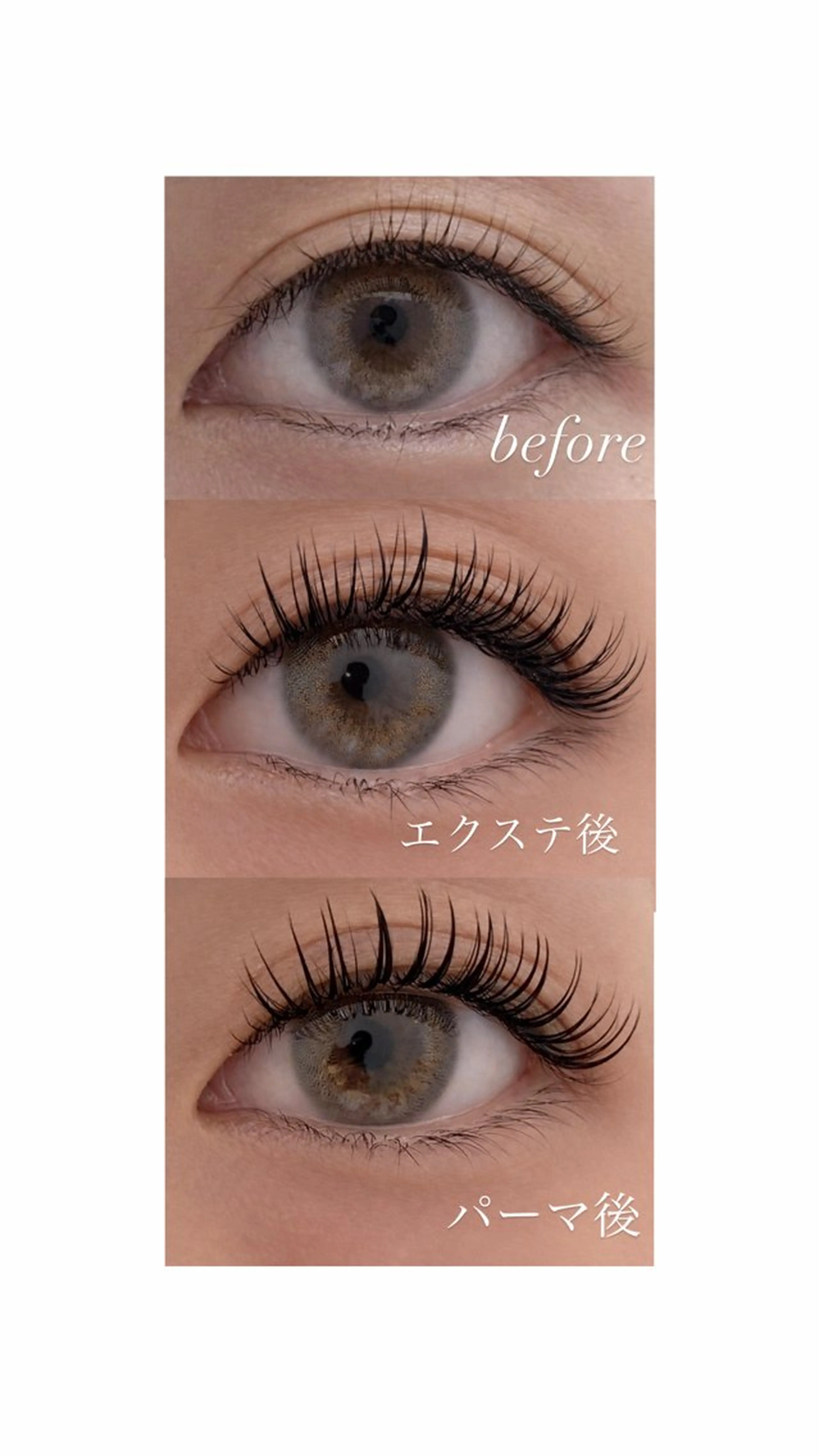 LEDエクステパーマ100本💗 オフなし⚠️の写真