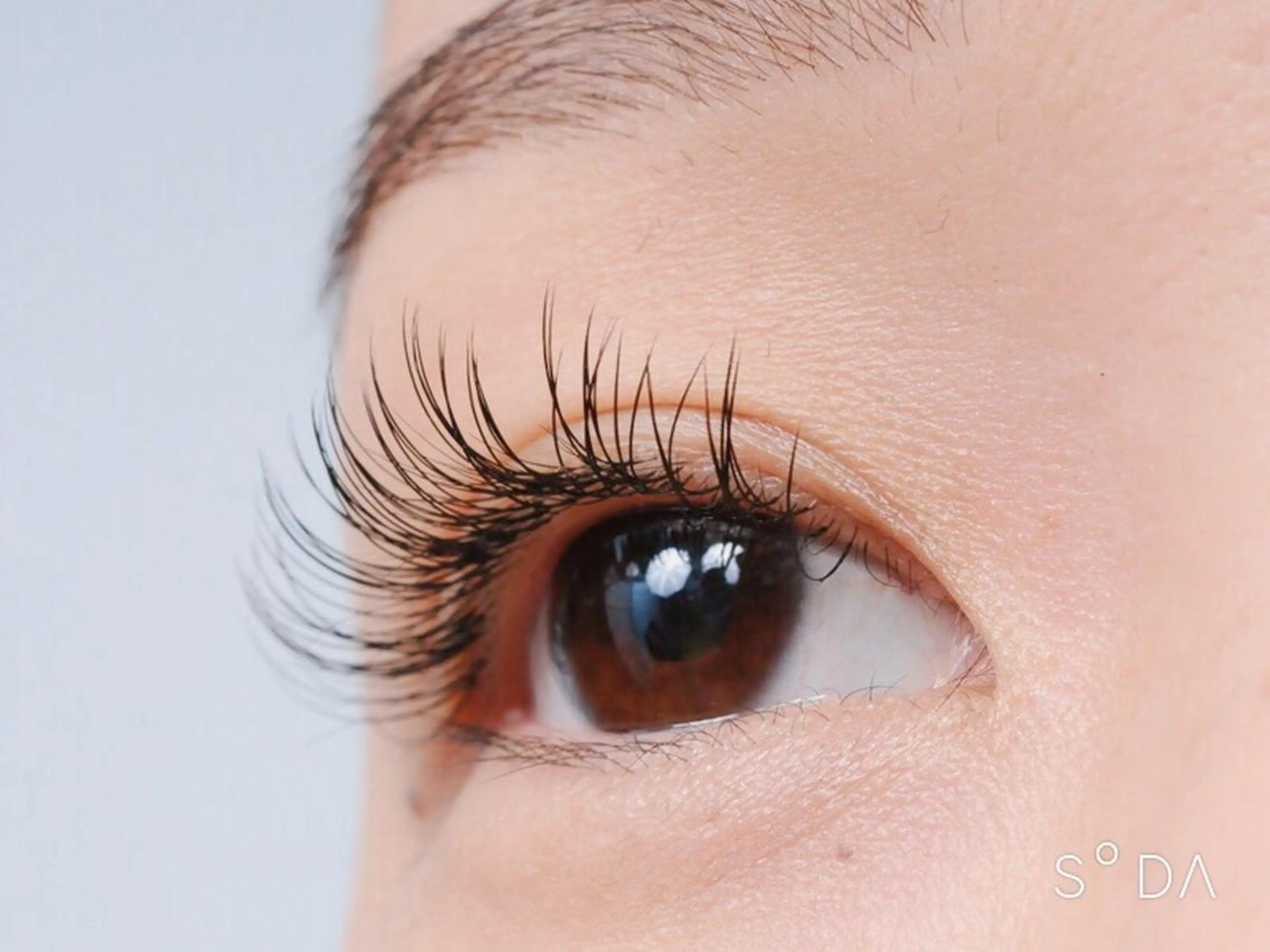 マツエク・マツパ 眉毛まつ毛専門店 uralogeのマツエク・マツパデザイン