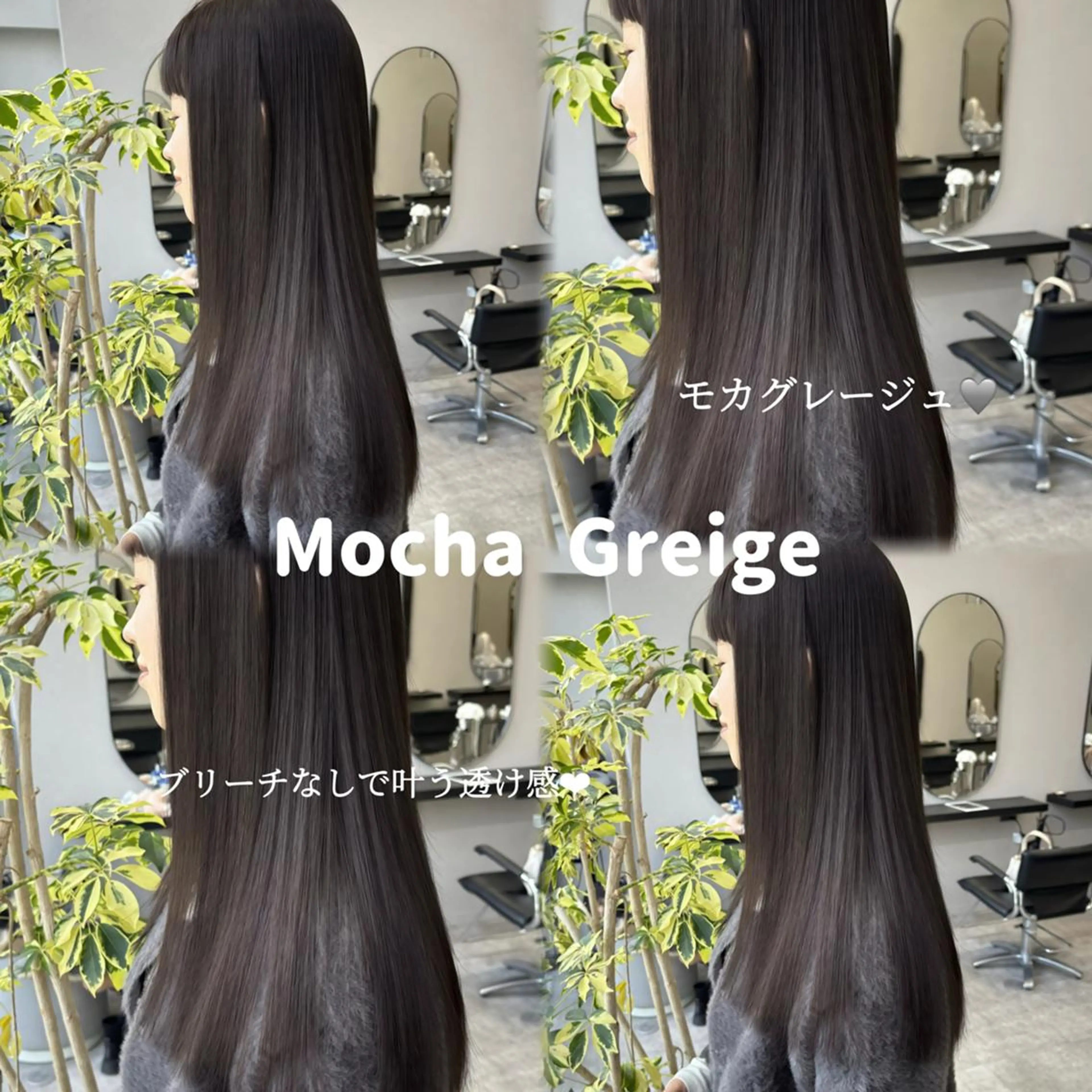 カラー セミロング 透明感カラー グレージュ モカグレージュ ヘアカラー トリートメント 透明感🪽艶カラー☆ トレンドヘア✨のヘアスタイル