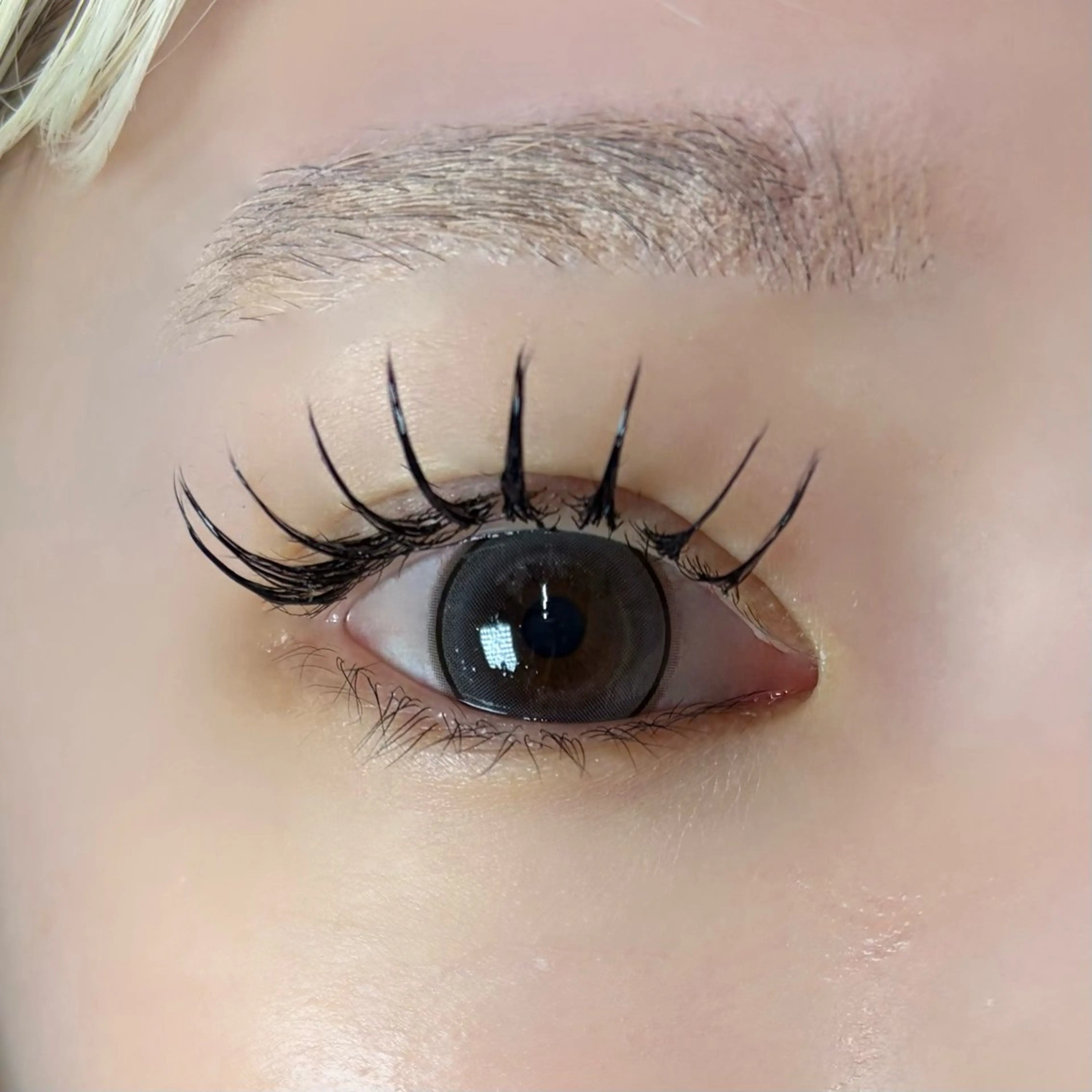 マツエク・マツパ seek北梅田 モデル募集用のマツエク・マツパデザイン