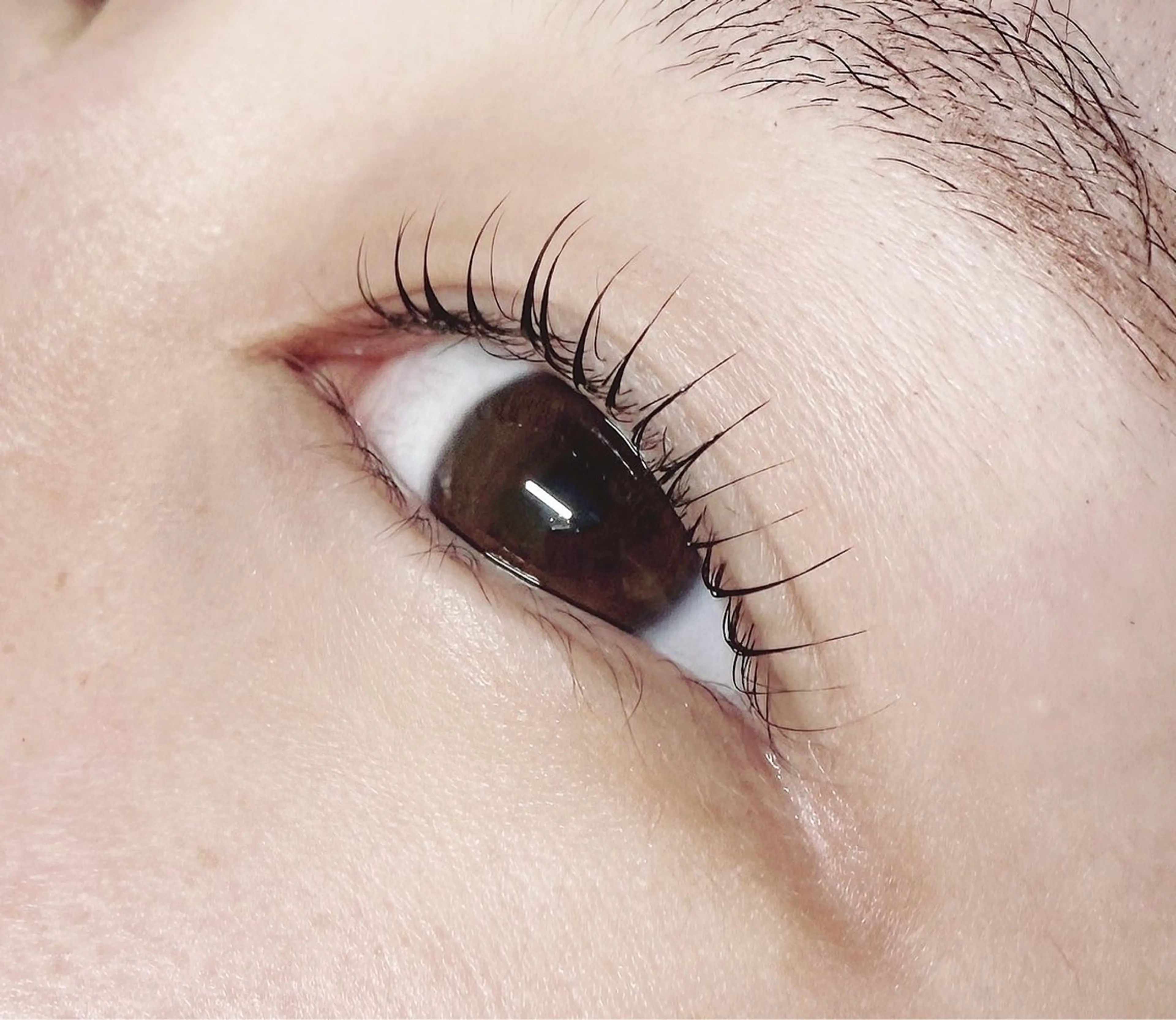マツエク・マツパ Dolce Eyeのマツエク・マツパデザイン