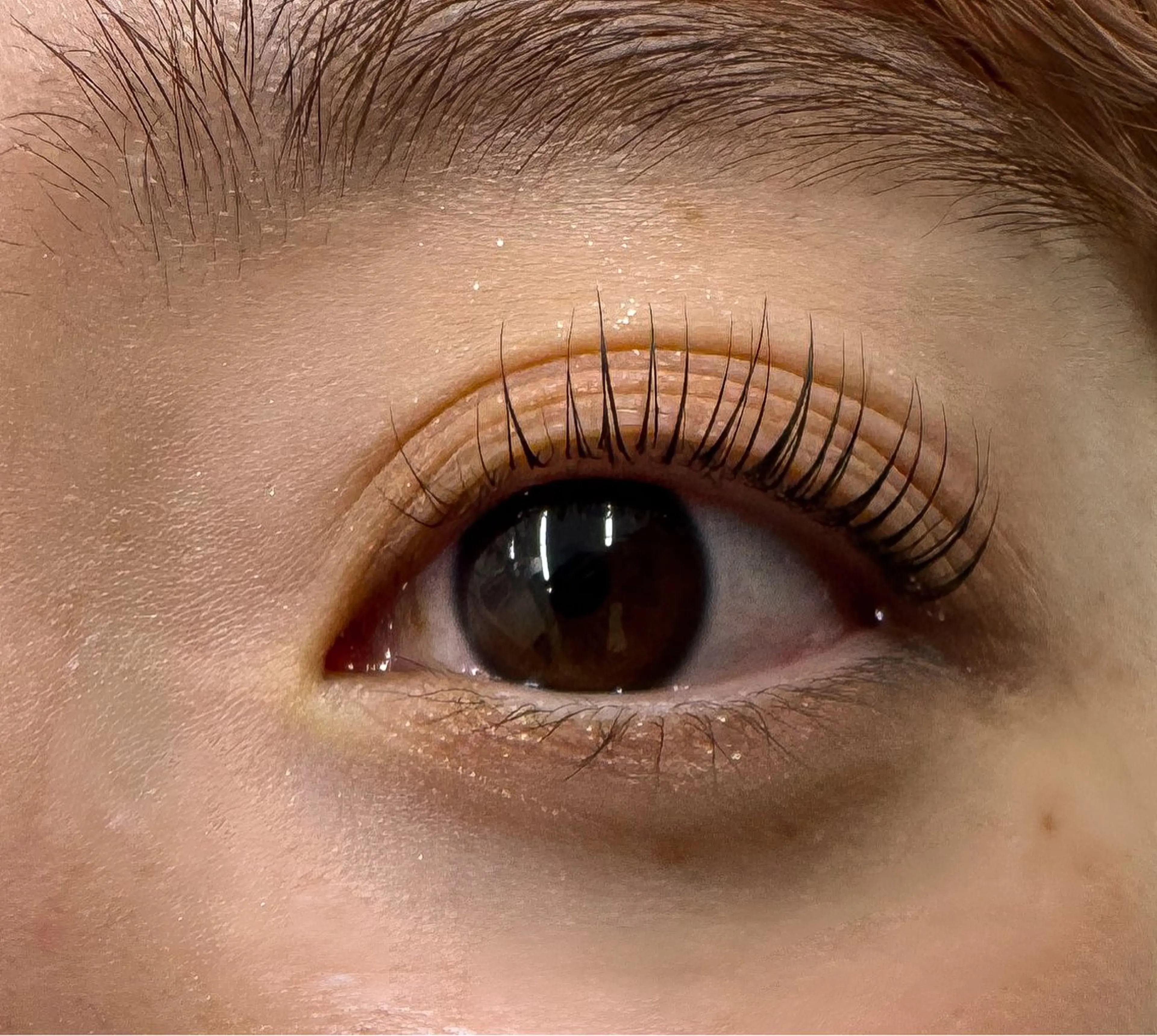 パリジェンヌラッシュリフト/デザインまつげパーマ🍀10分前にご来店下さい🙇🏻♀️中間TR付き✨の写真