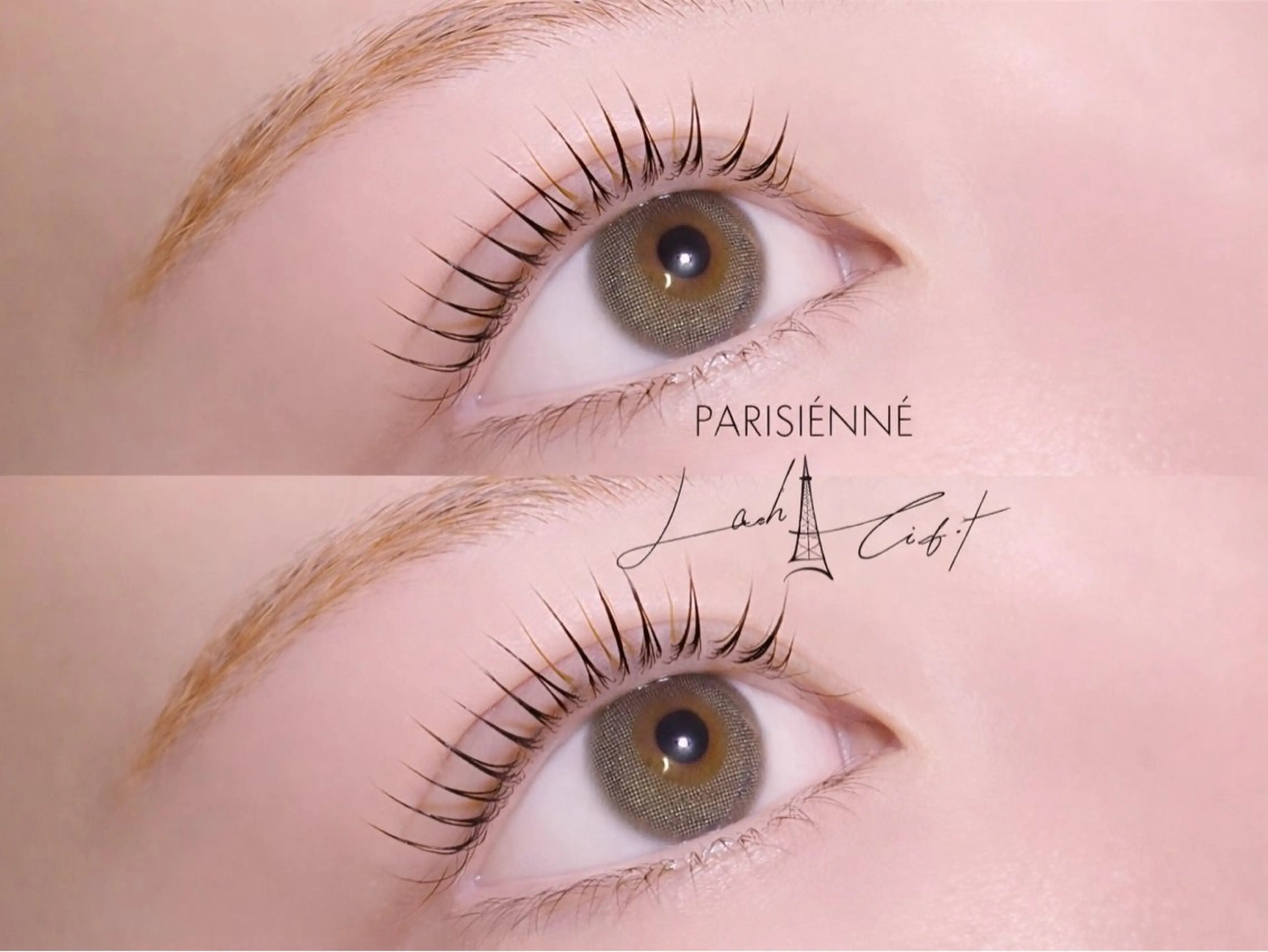 マツエク・マツパ パリジェンヌラッシュリフト マツパ lovit ラビットのマツエク・マツパデザイン