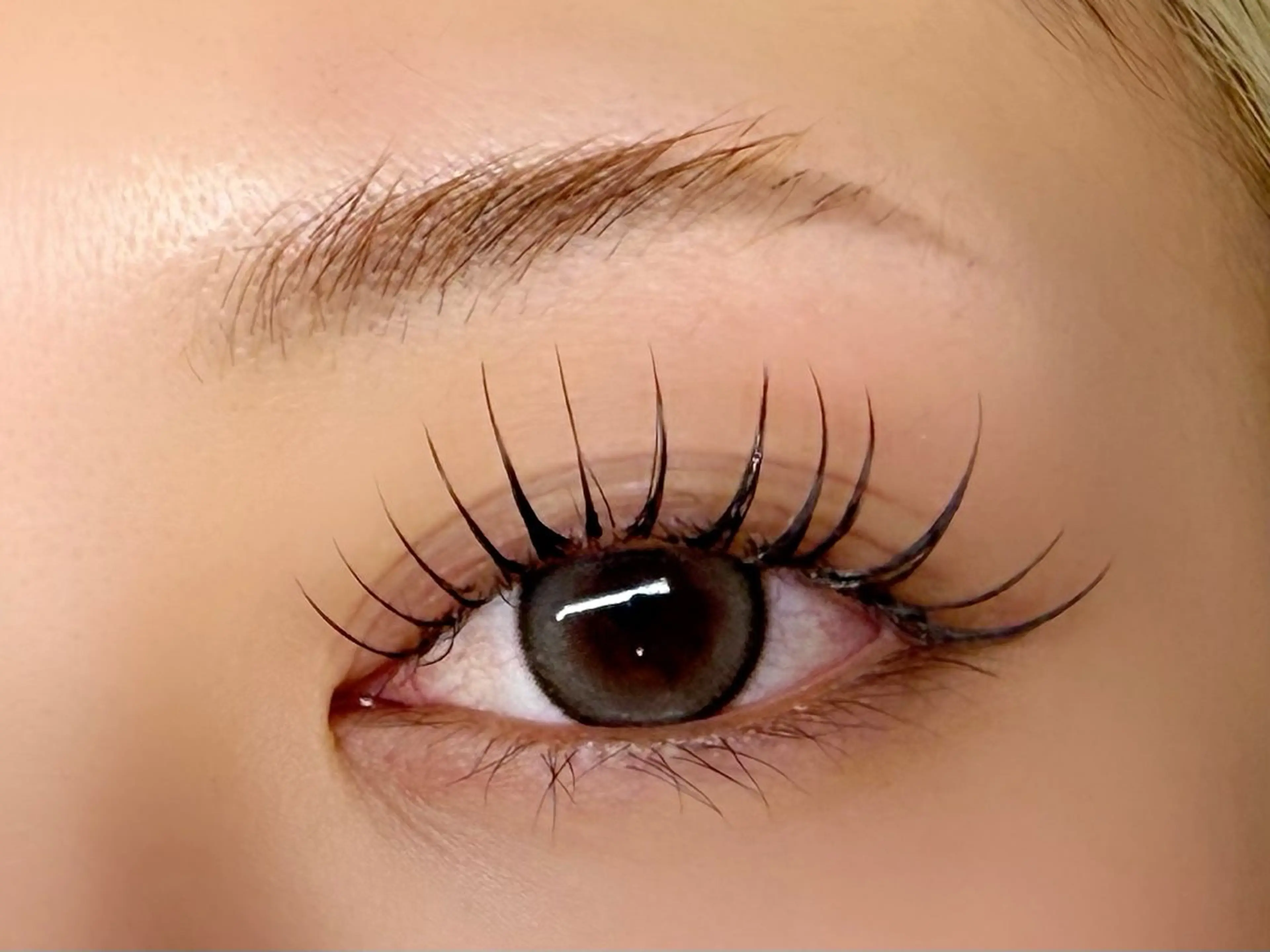 【盛れ確💖】上120本＋下50本エクステ✨¥6,500✨束感仕上げOK✨韓国風まつ毛（写真映え＆デカ目効果抜群👀）の写真