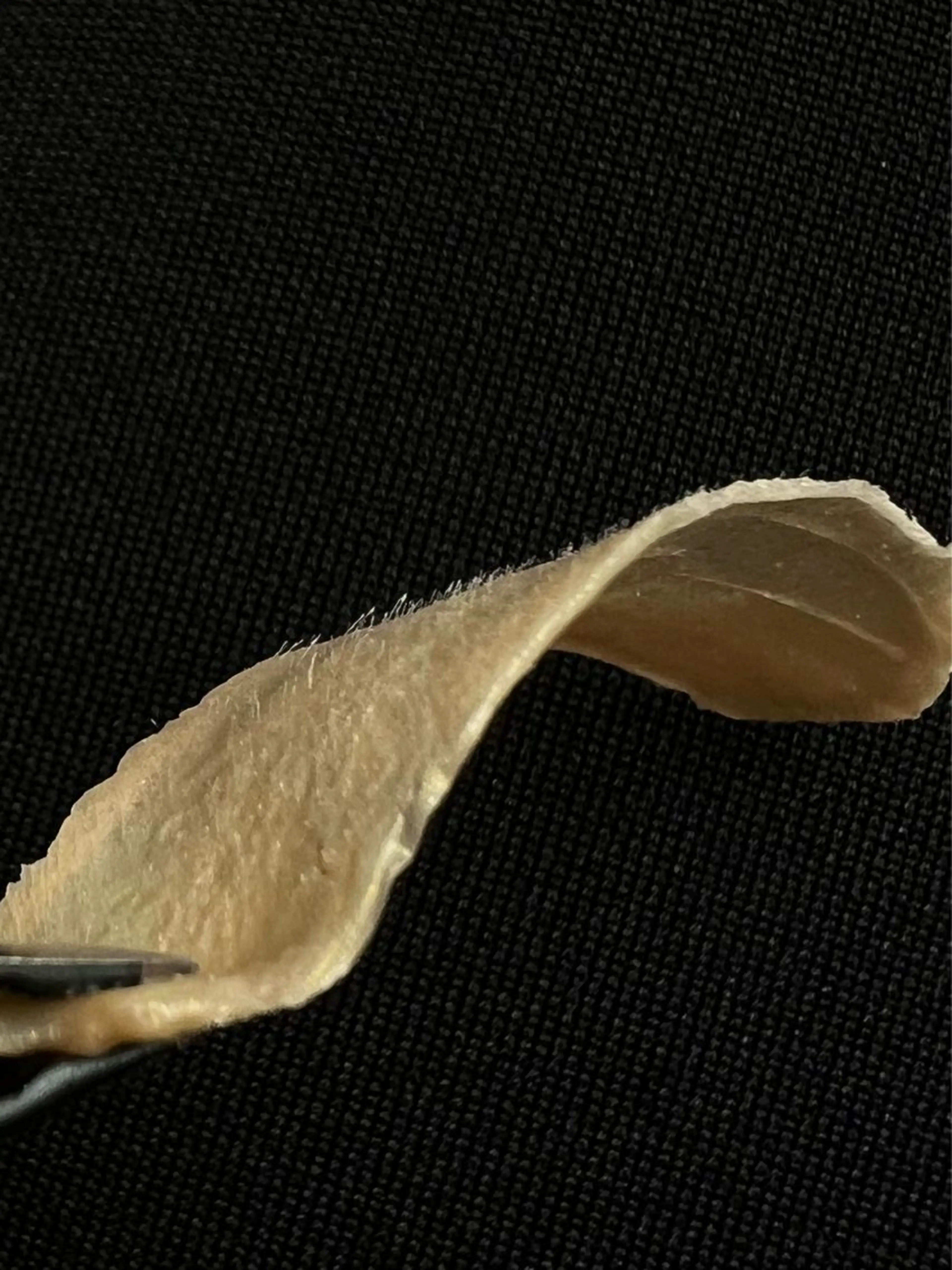 RINA studio-385の眉毛・アイブロウイメージ