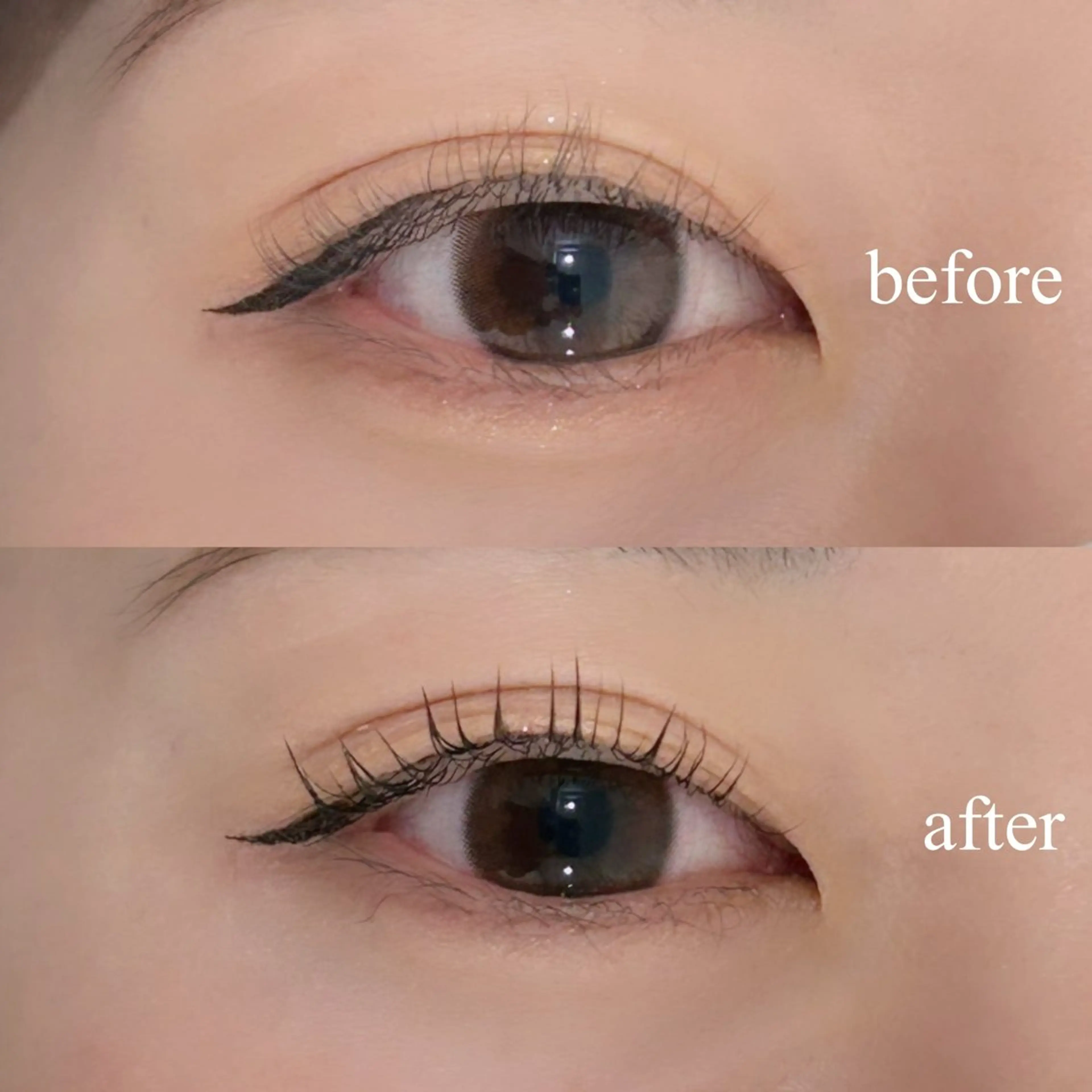 マツエク・マツパ Lカール chiri／似合わせ ×韓ドルまつ毛パーマのマツエク・マツパデザイン