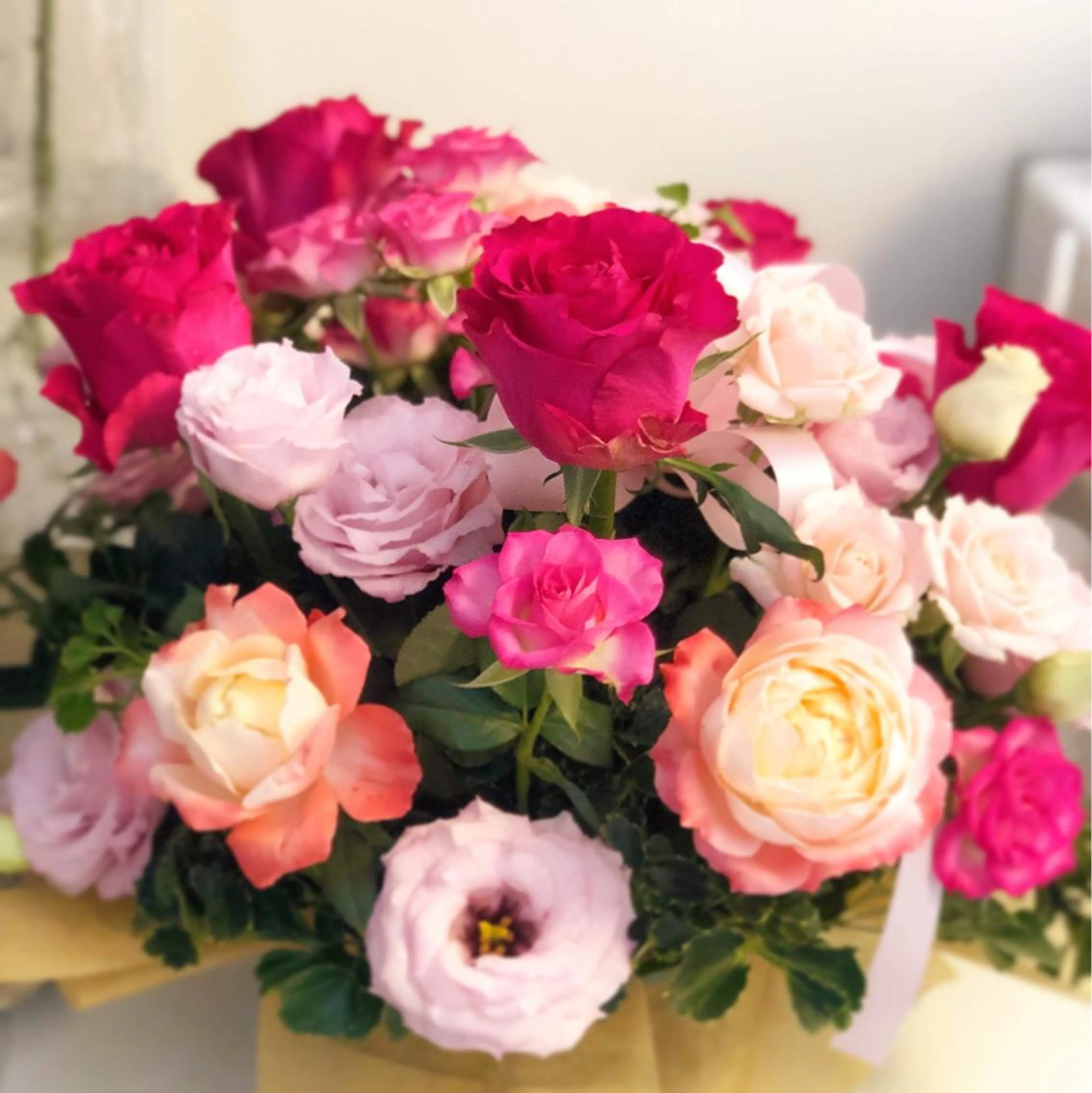 マツエク・マツパ ボリュームラッシュ M♡ Norikoのマツエク・マツパデザイン