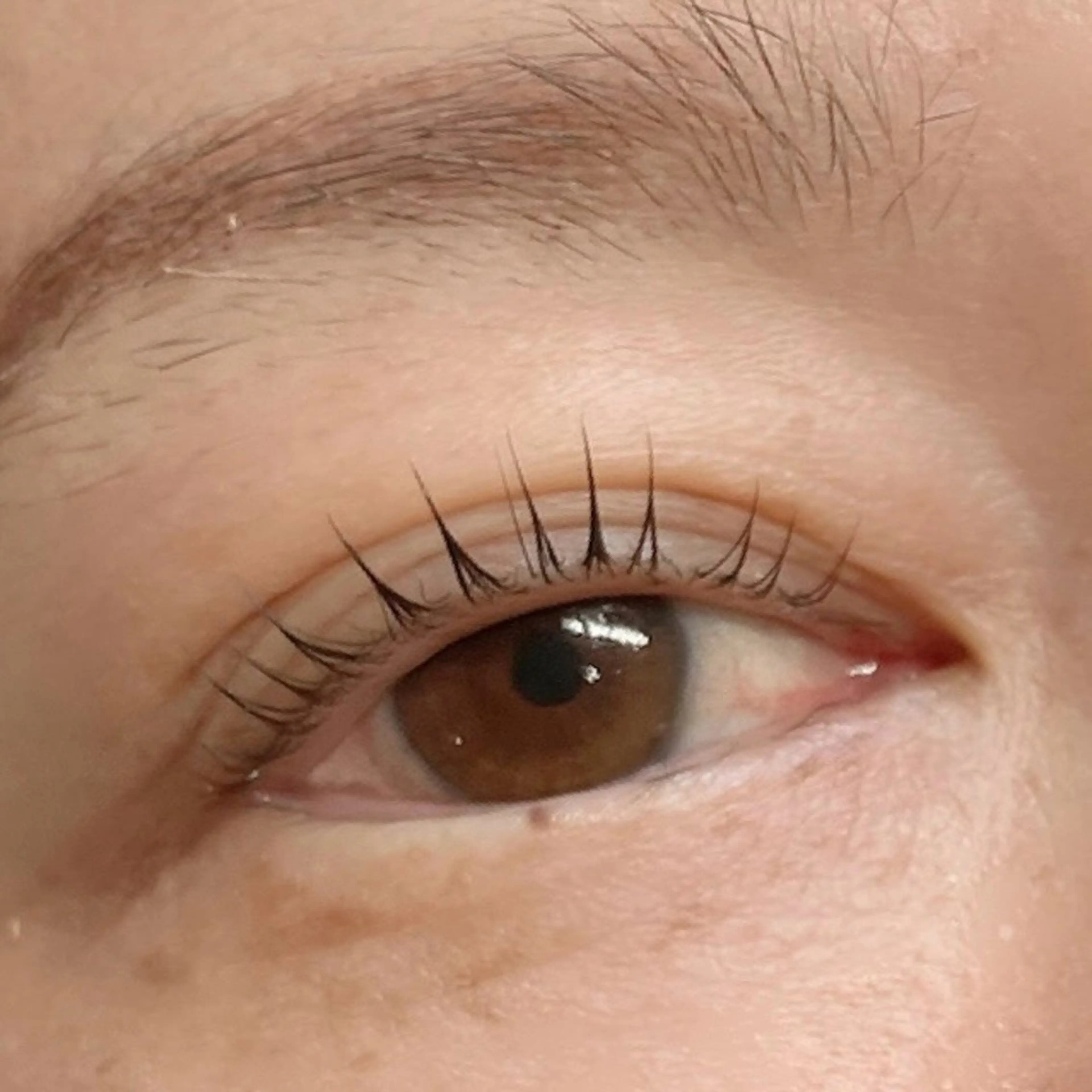 マツエク・マツパ マツパ Li-Fra ERIKOのマツエク・マツパデザイン