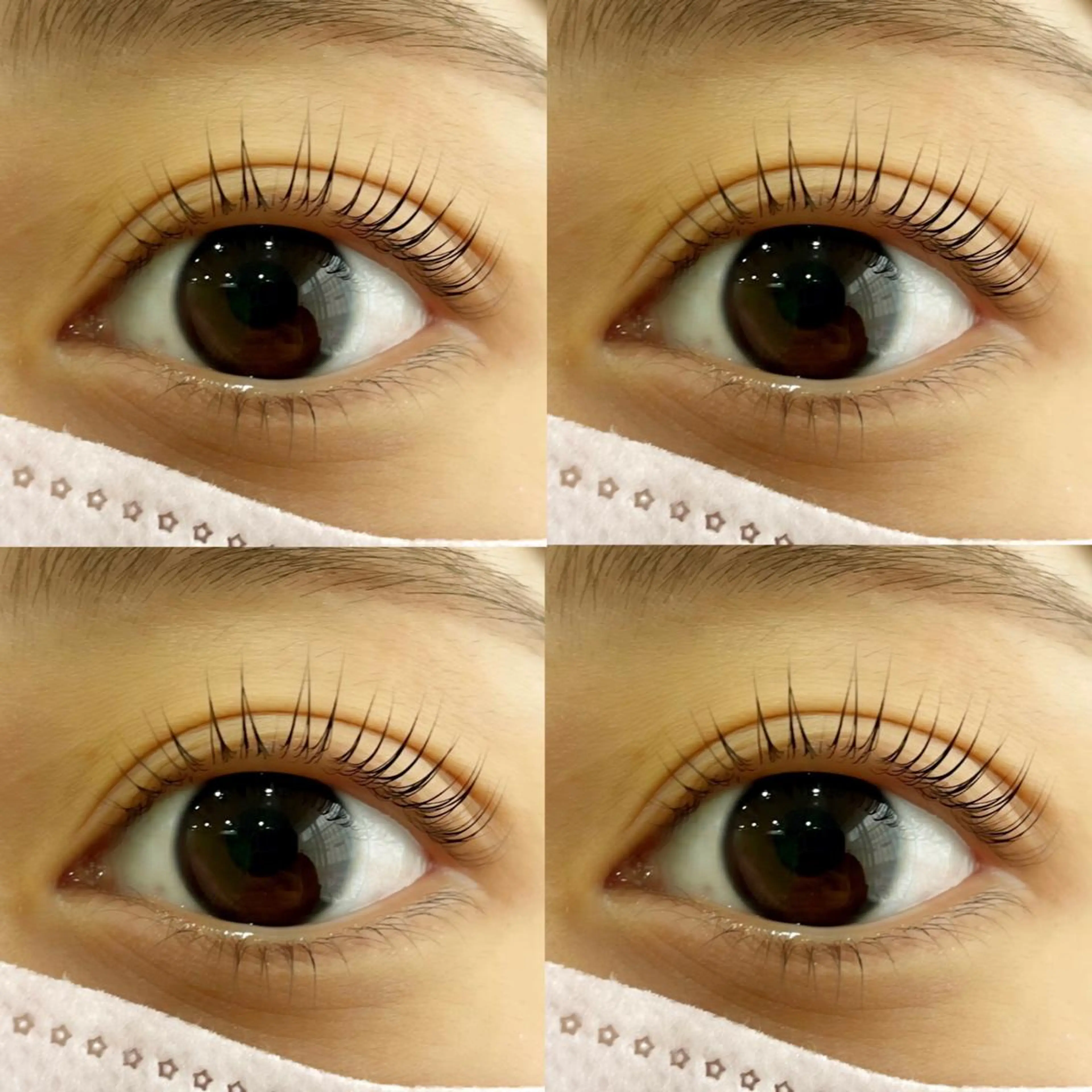 マツエク・マツパ マツパ LUANATOKYO 🫧武蔵小杉のマツエク・マツパデザイン