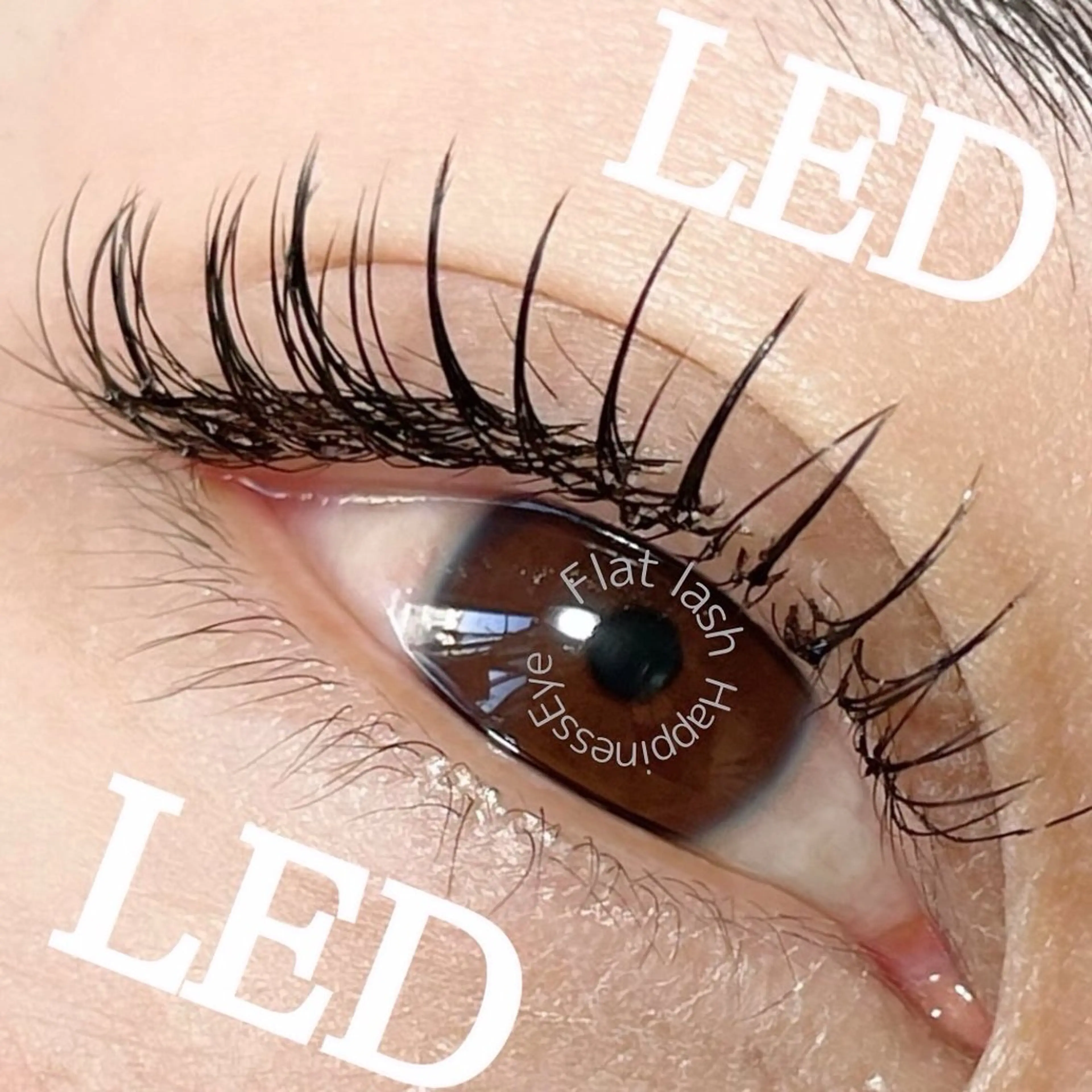 ミニモ価格ご新規様　まつげLEDエクステ　フラットラッシュ100本※他店オフ代込み　通常の接着剤に変更可能-¥500の写真