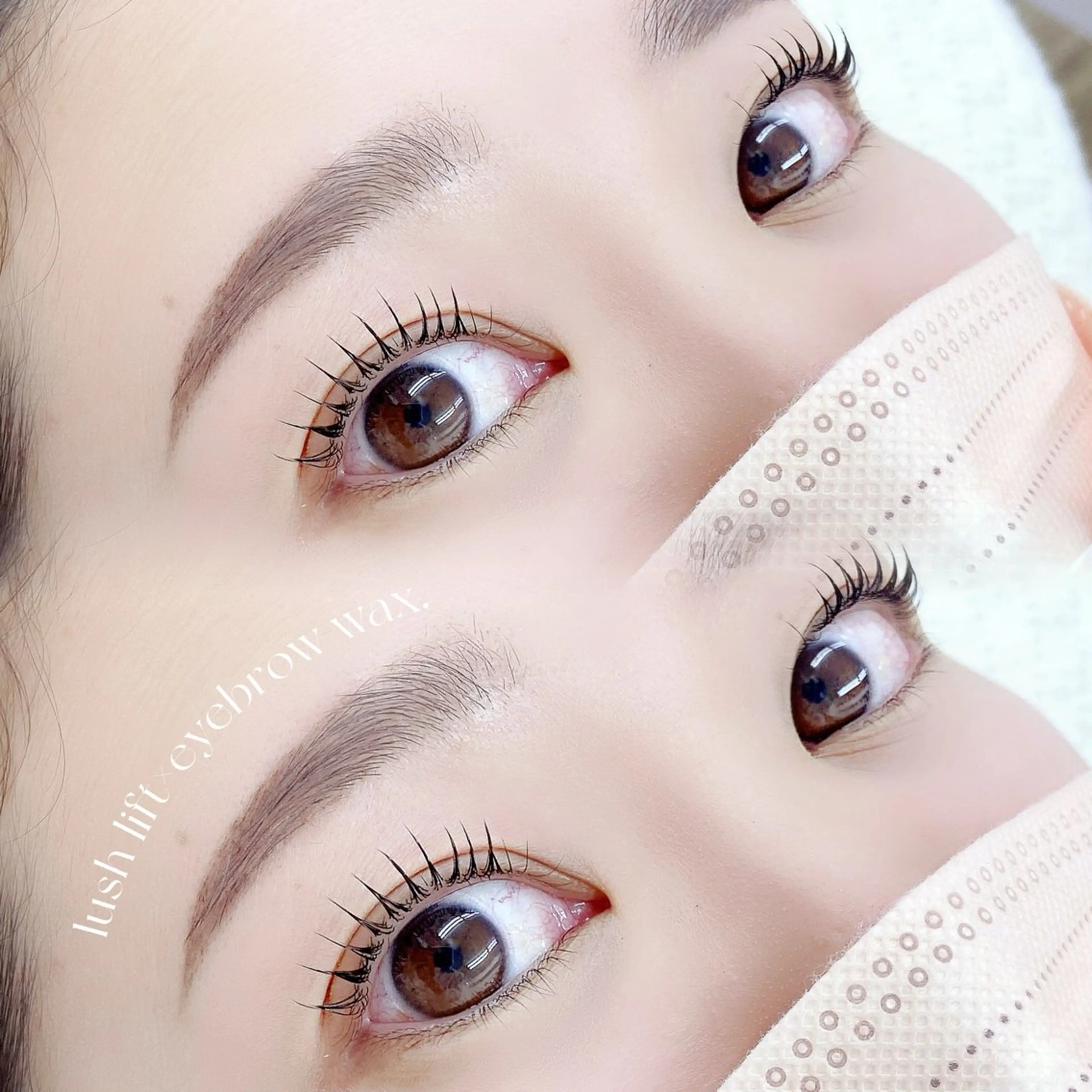 人気No.1❣️目元のトータルケア👀美眉スタイリング+まつげパーマ🧚🏻‍♀️の写真