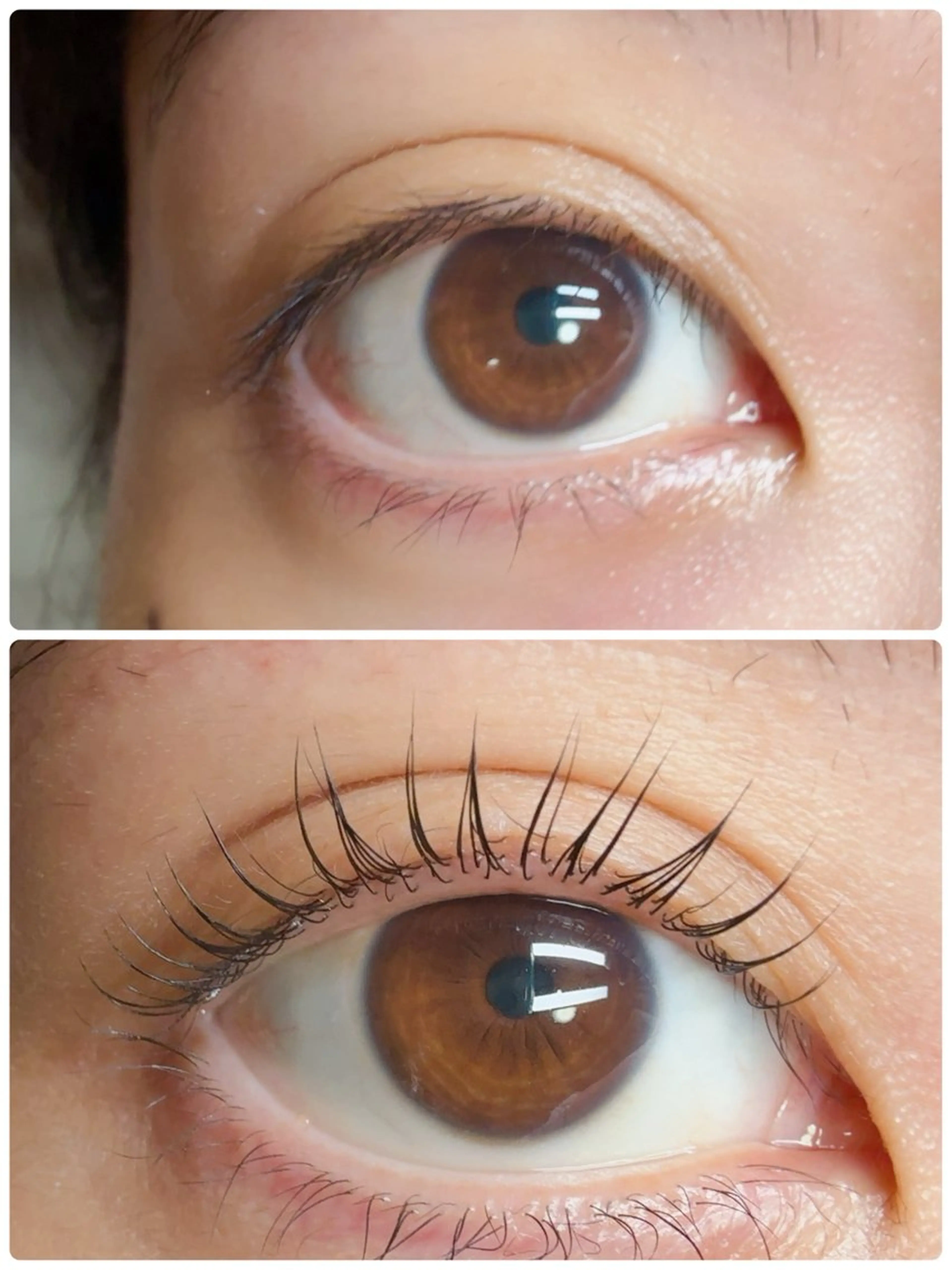 マツエク・マツパ マツパ オオヌキ ユミカのマツエク・マツパデザイン