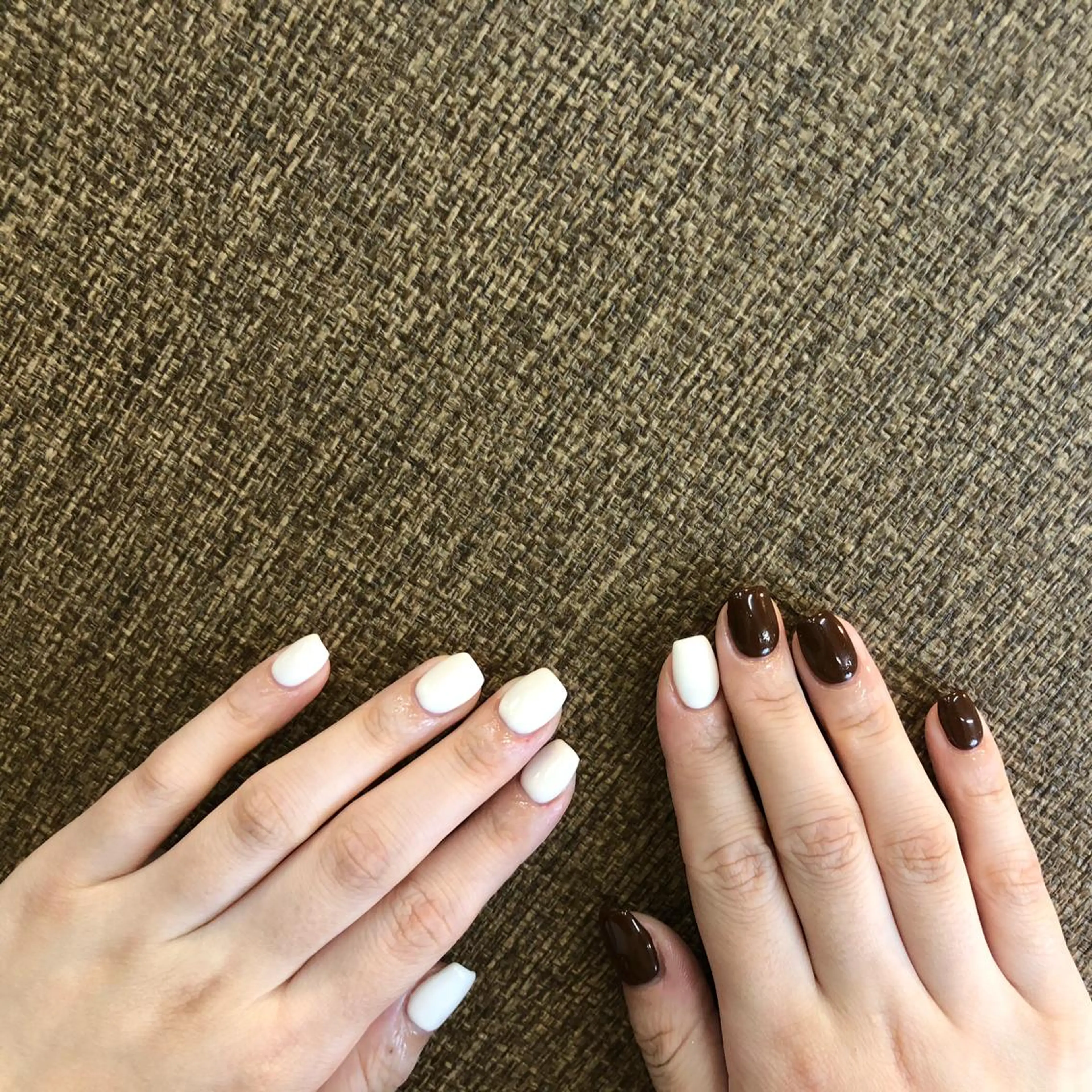 ショート ネイル ワンカラーネイル nail 1997のネイルデザイン