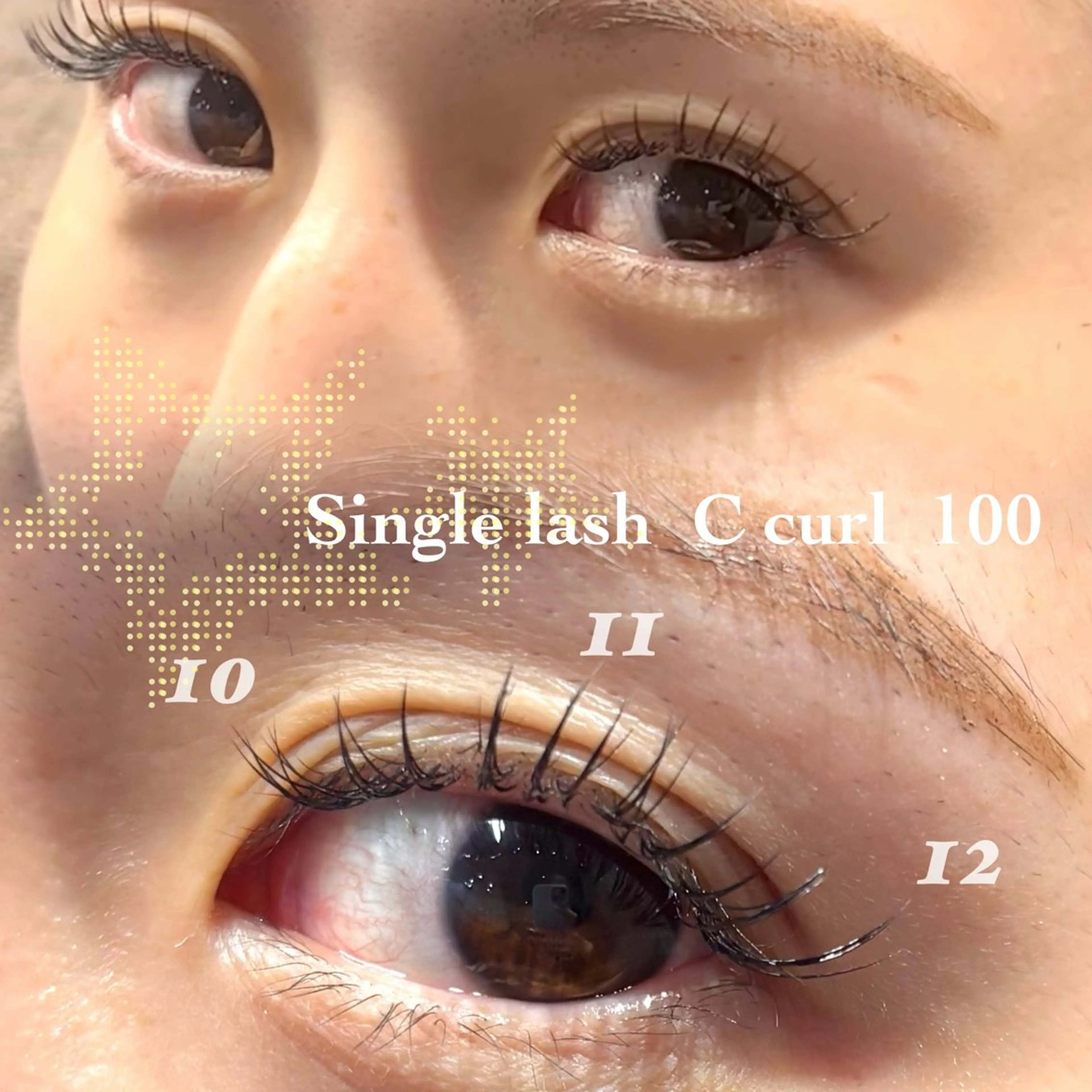 🌷4/30まで🌷上100本・下20本のエクステ練習モデルさん募集🌱4000円🤍の写真