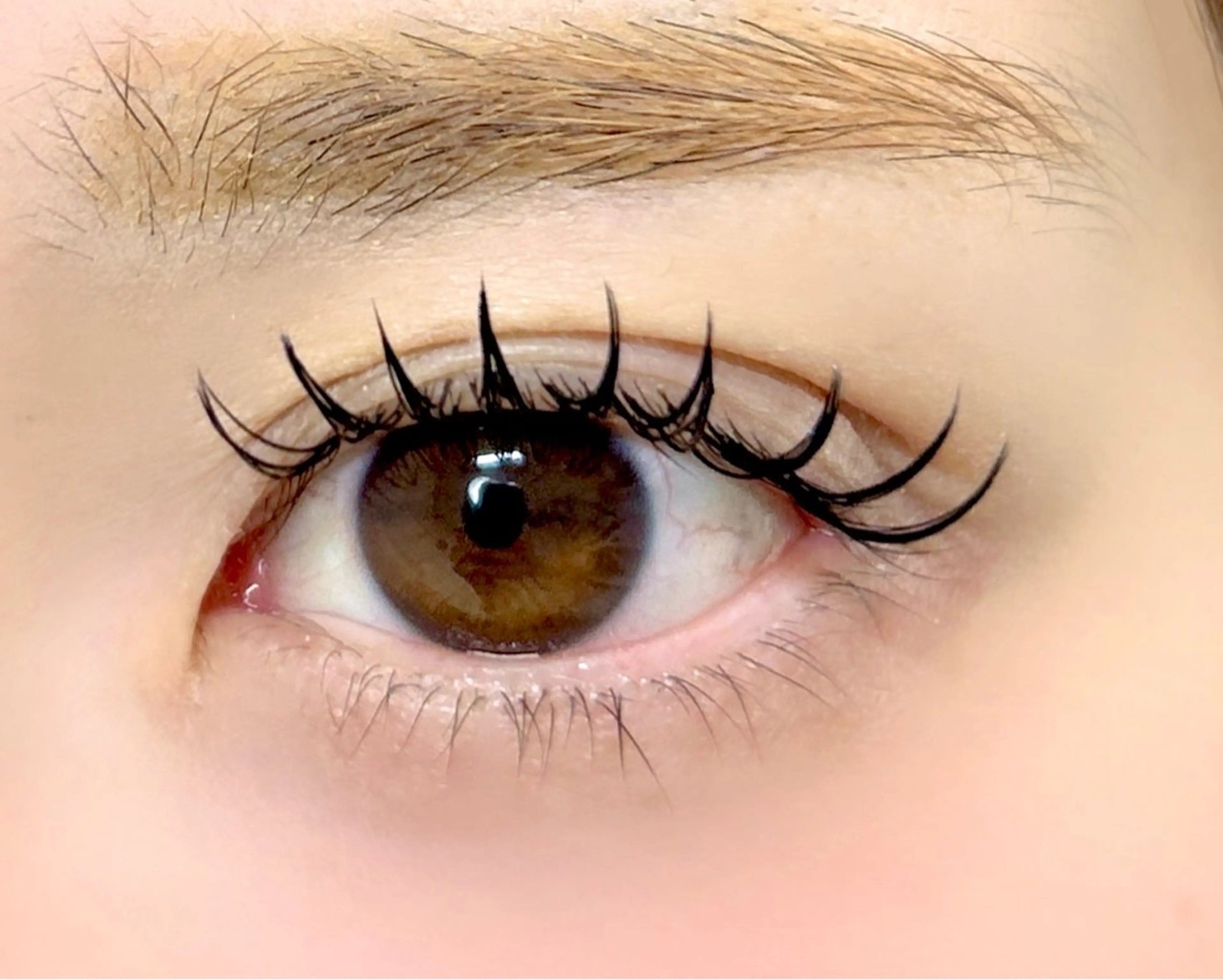 マツエク・マツパ マツエク LUNÉ ／ AMI  甲子園口のマツエク・マツパデザイン