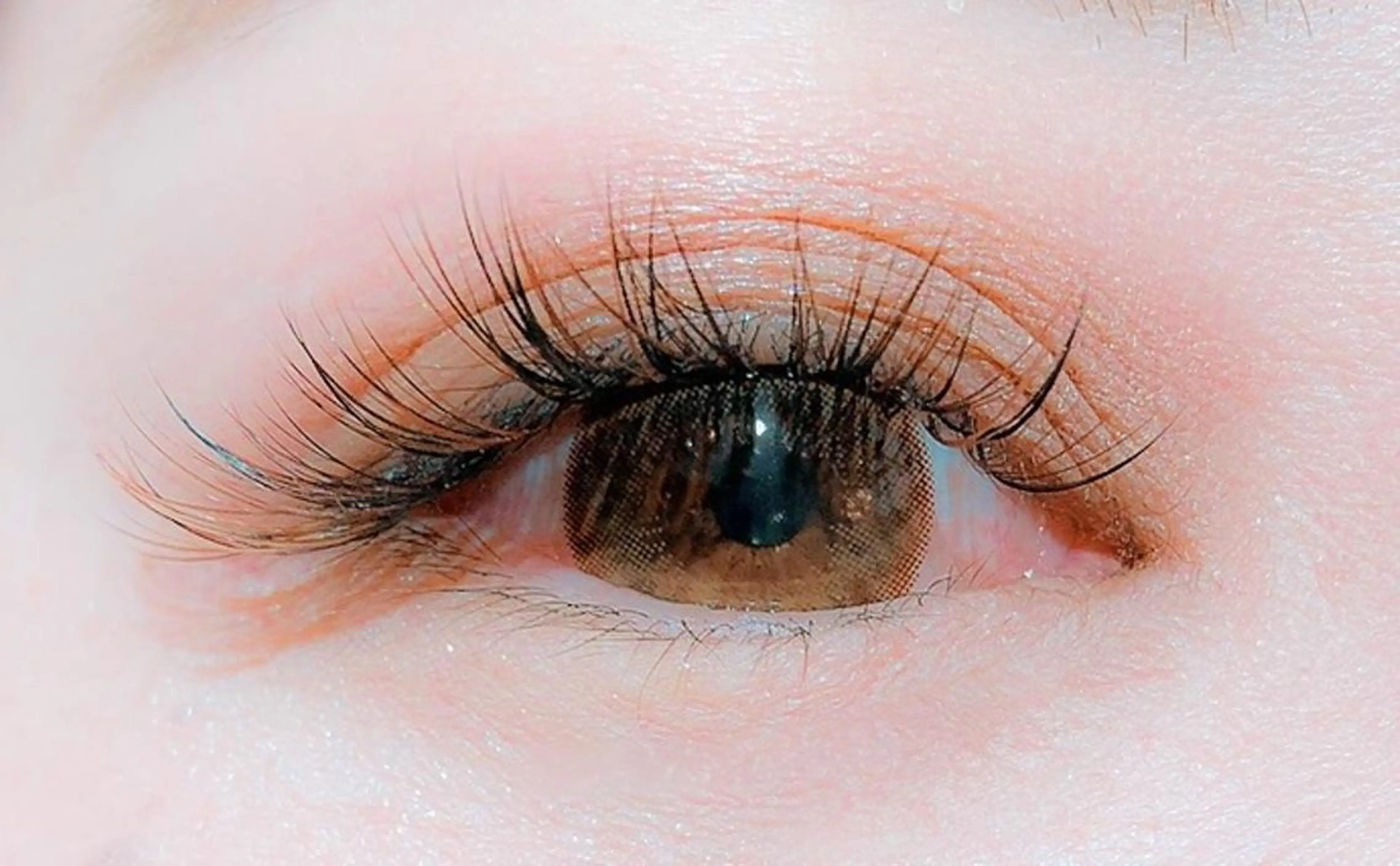 👑ご新規様限定 フラットセーブル120本👑の写真