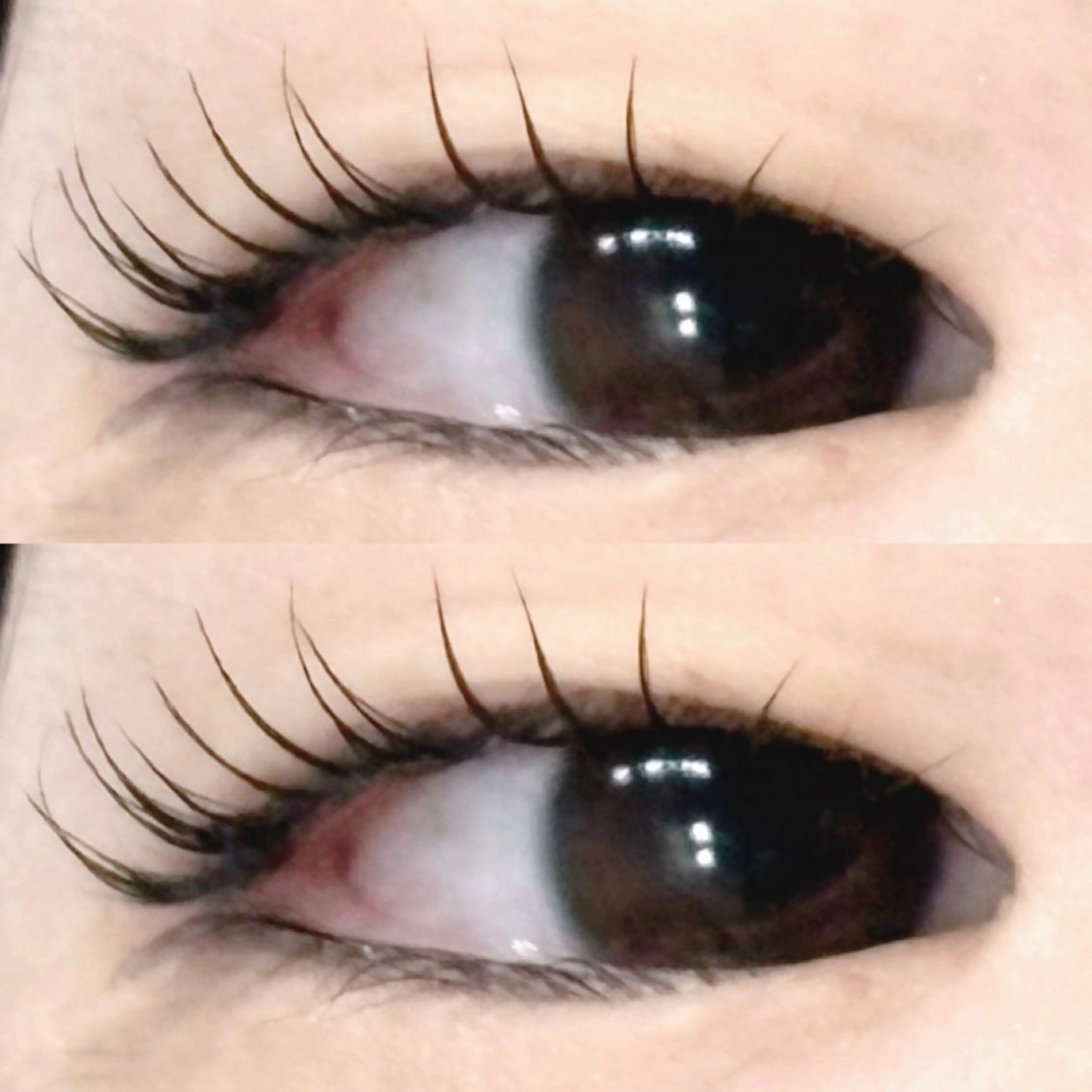 マツエク・マツパ その他 chiho 🍀まつ毛パーマのマツエク・マツパデザイン