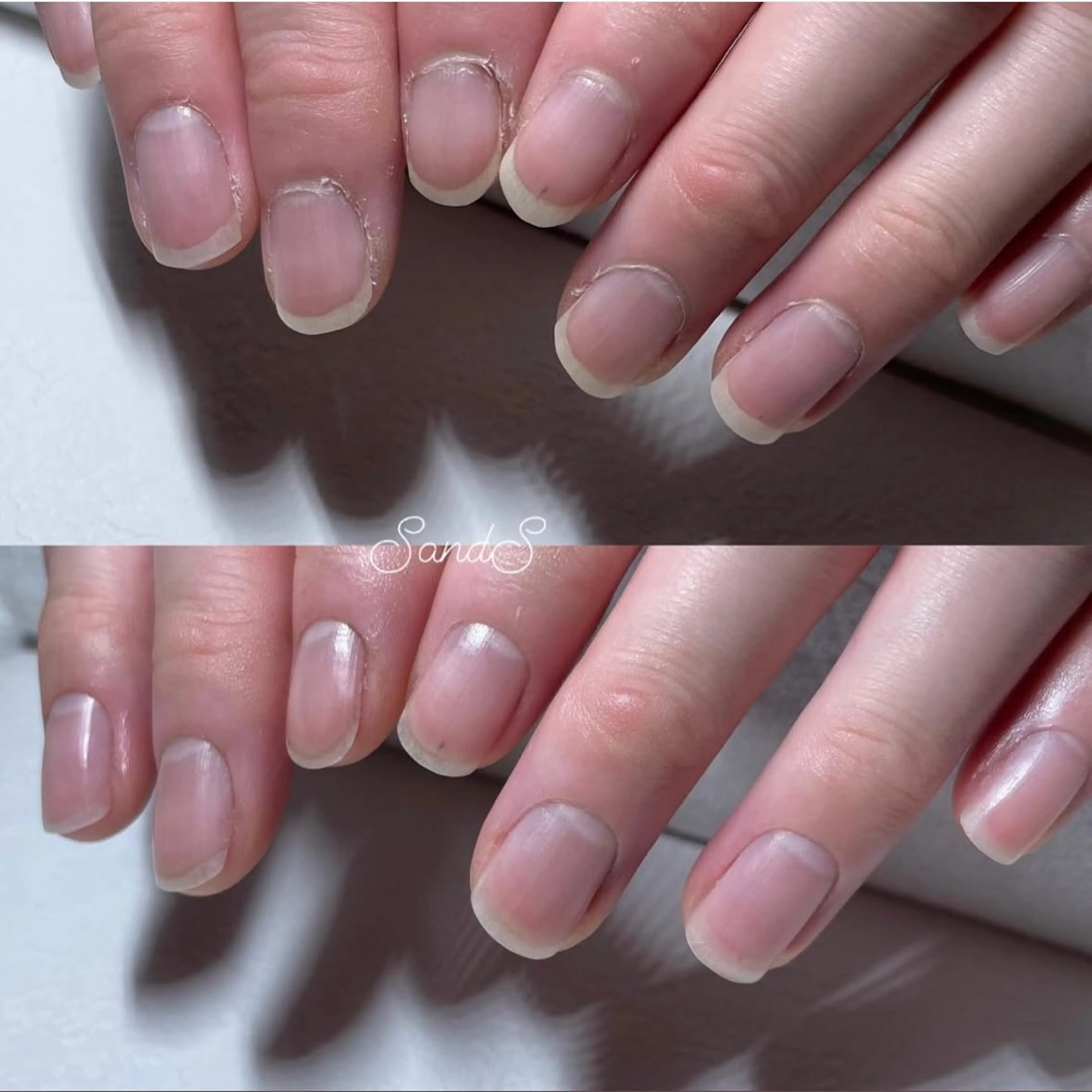 ケアのみの写真