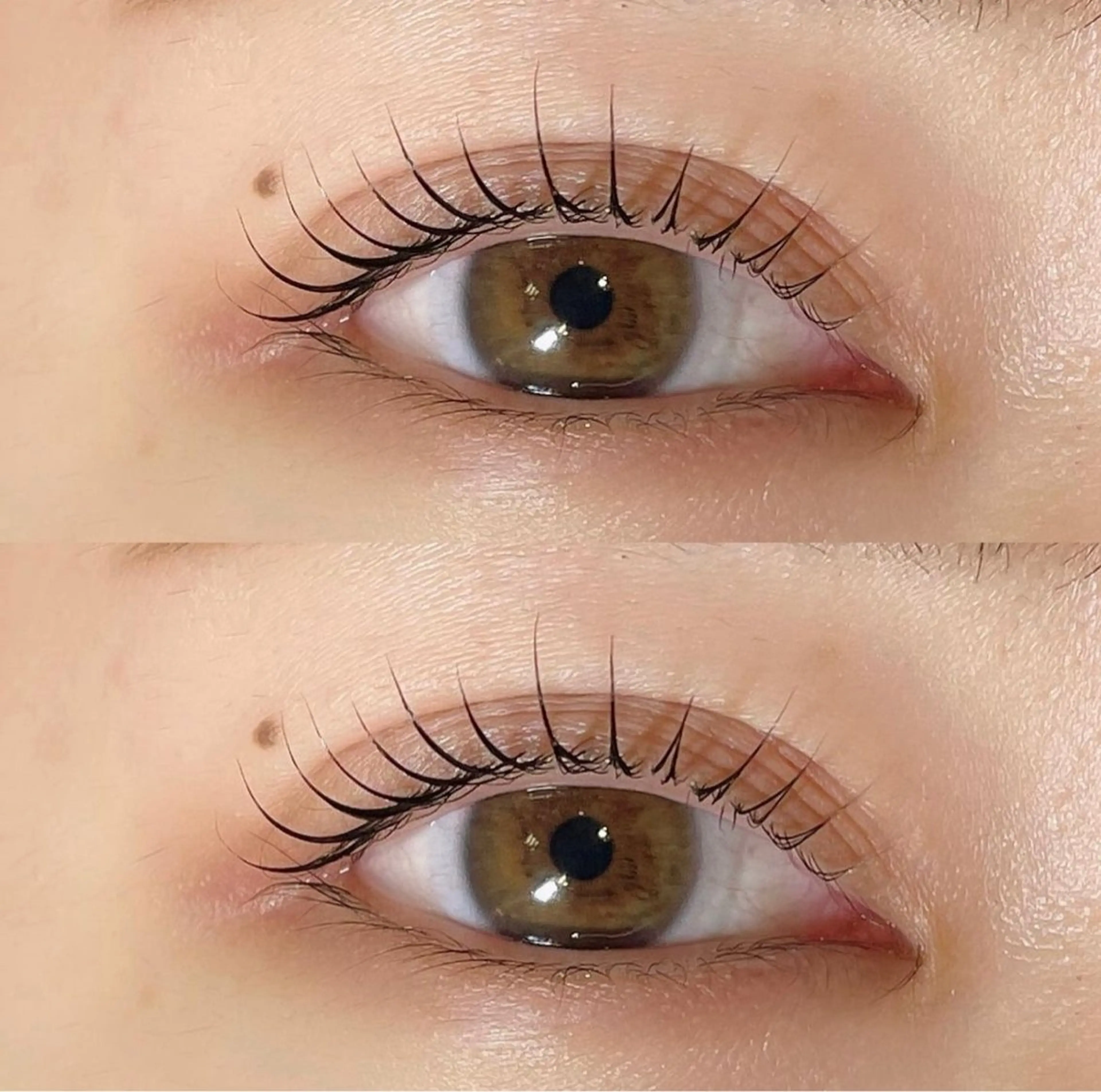 マツエク・マツパ ナチュラル Legami YUMIのマツエク・マツパデザイン